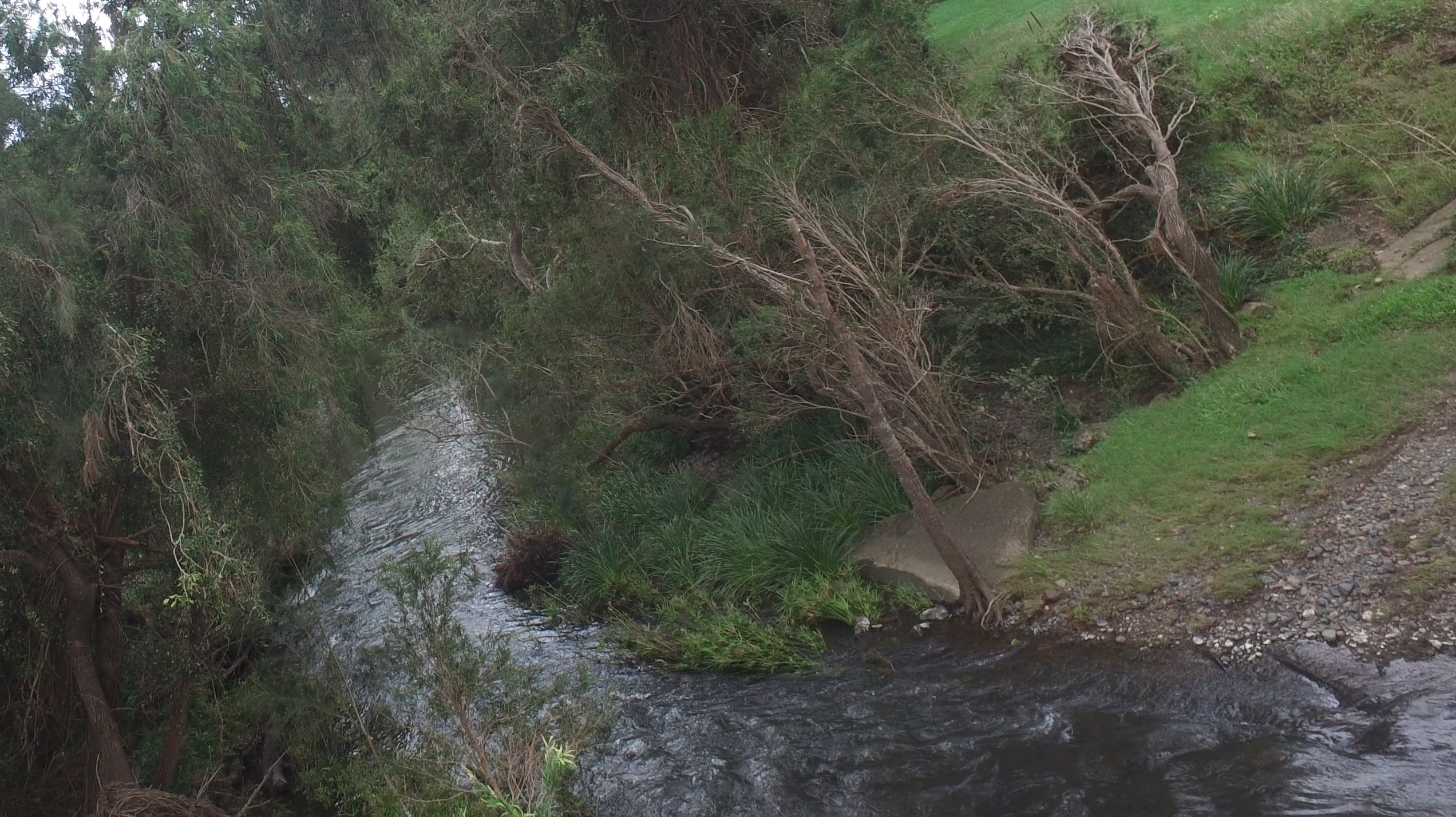 Glastonbury creek, Top left is camp ground 1