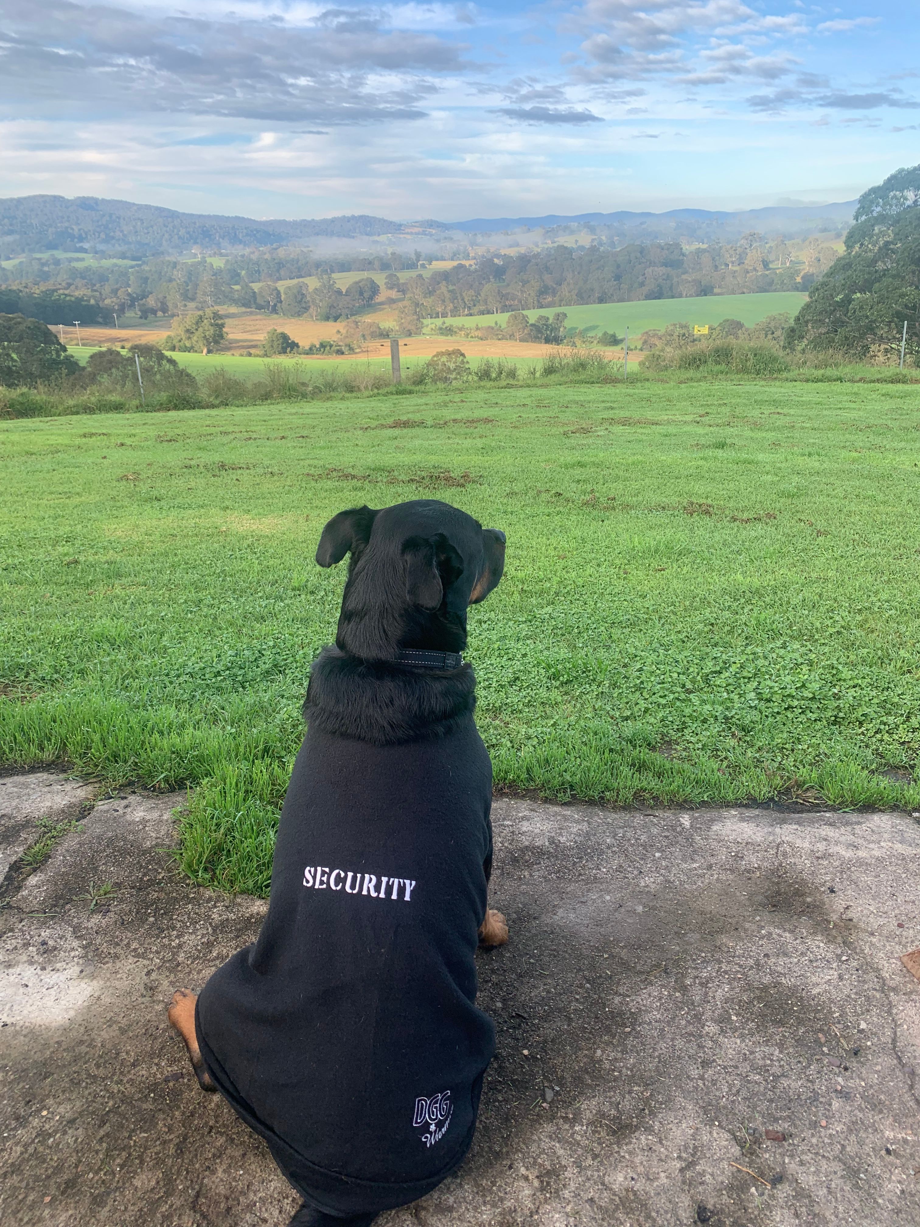 Sapphire Coast Dairy-Homestead