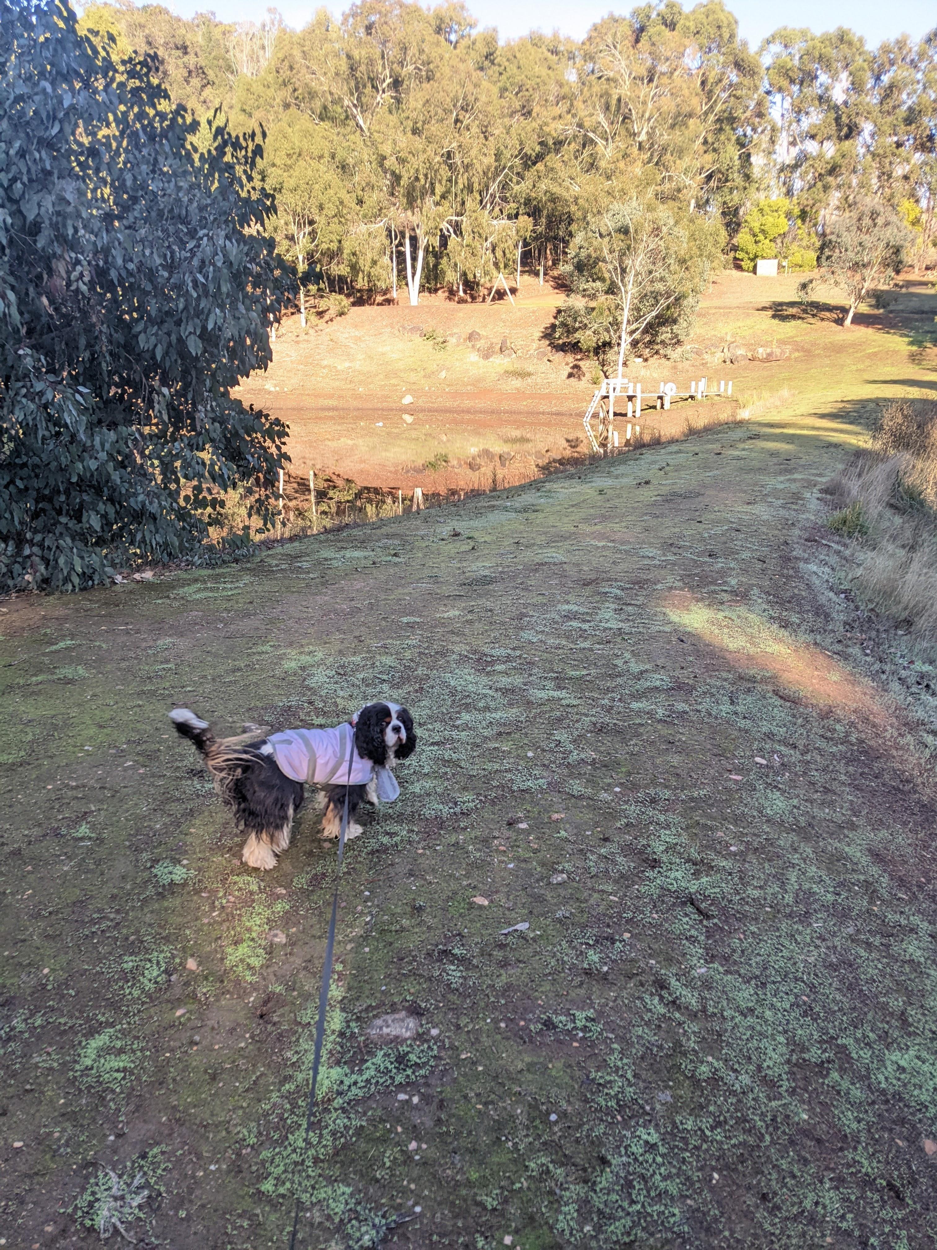 Lewana Cottages Campsites