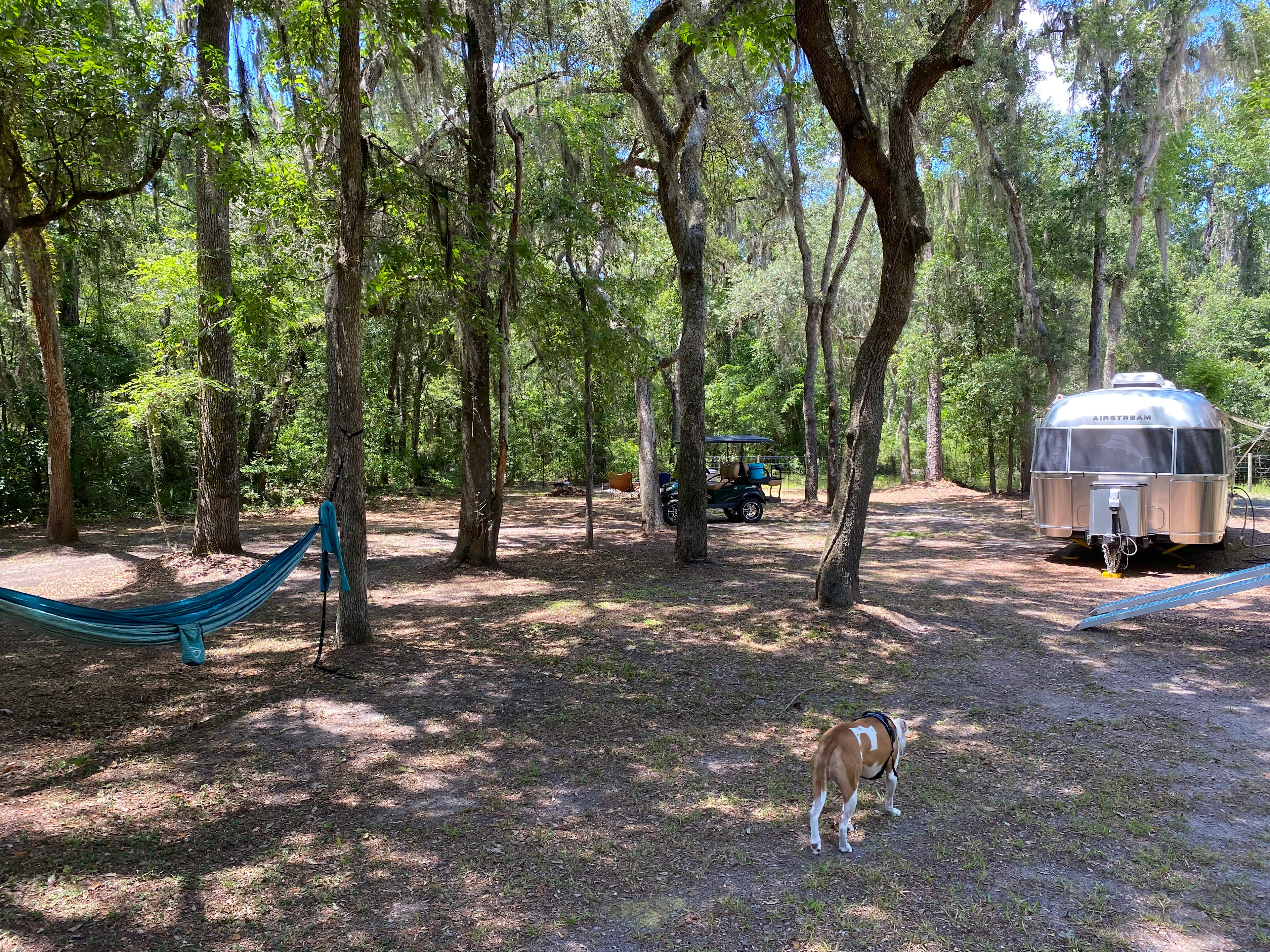 Full 50amp and water hookups with wide open space 