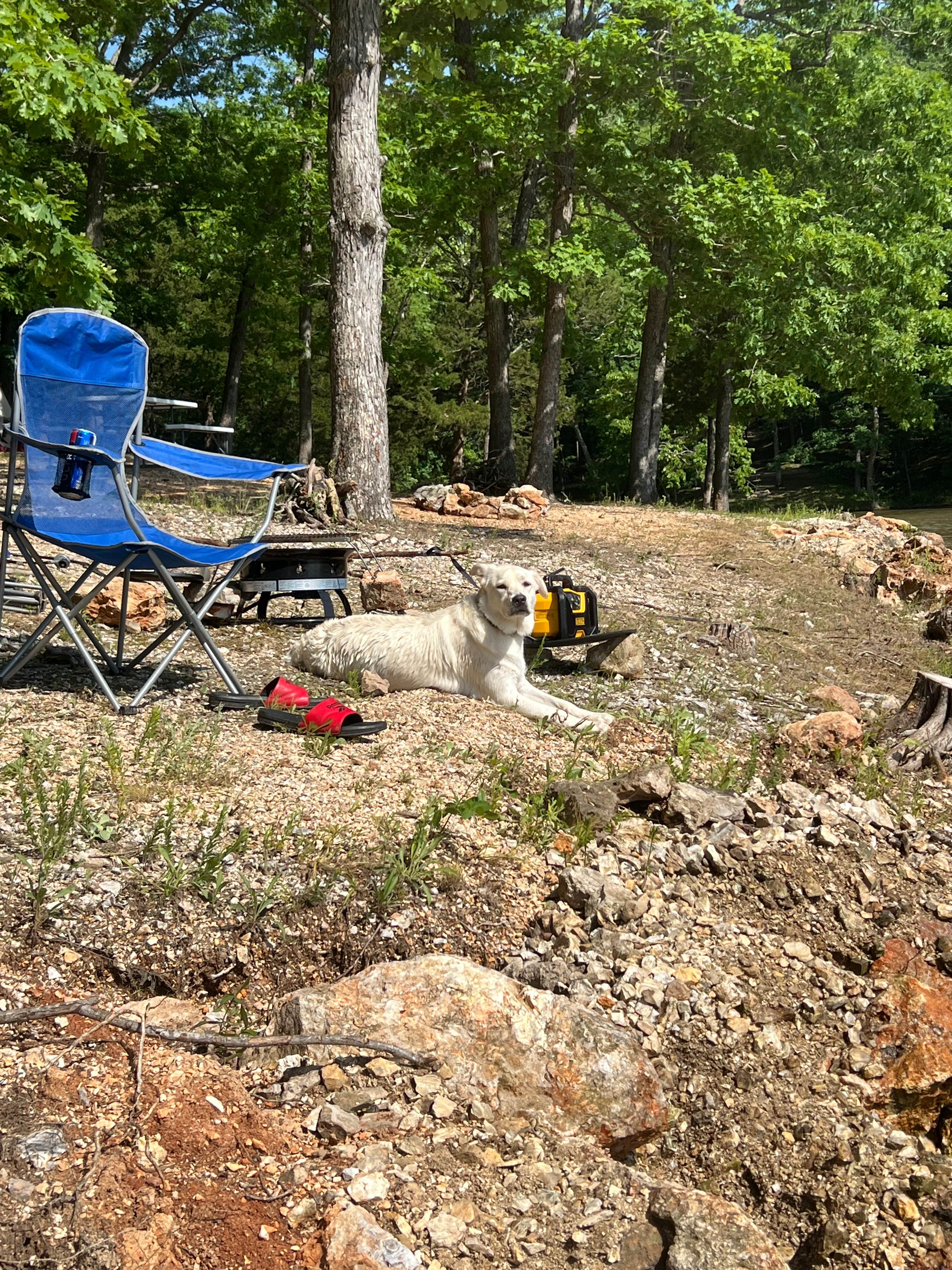 DnD Lakefront Campground Lake Ozark