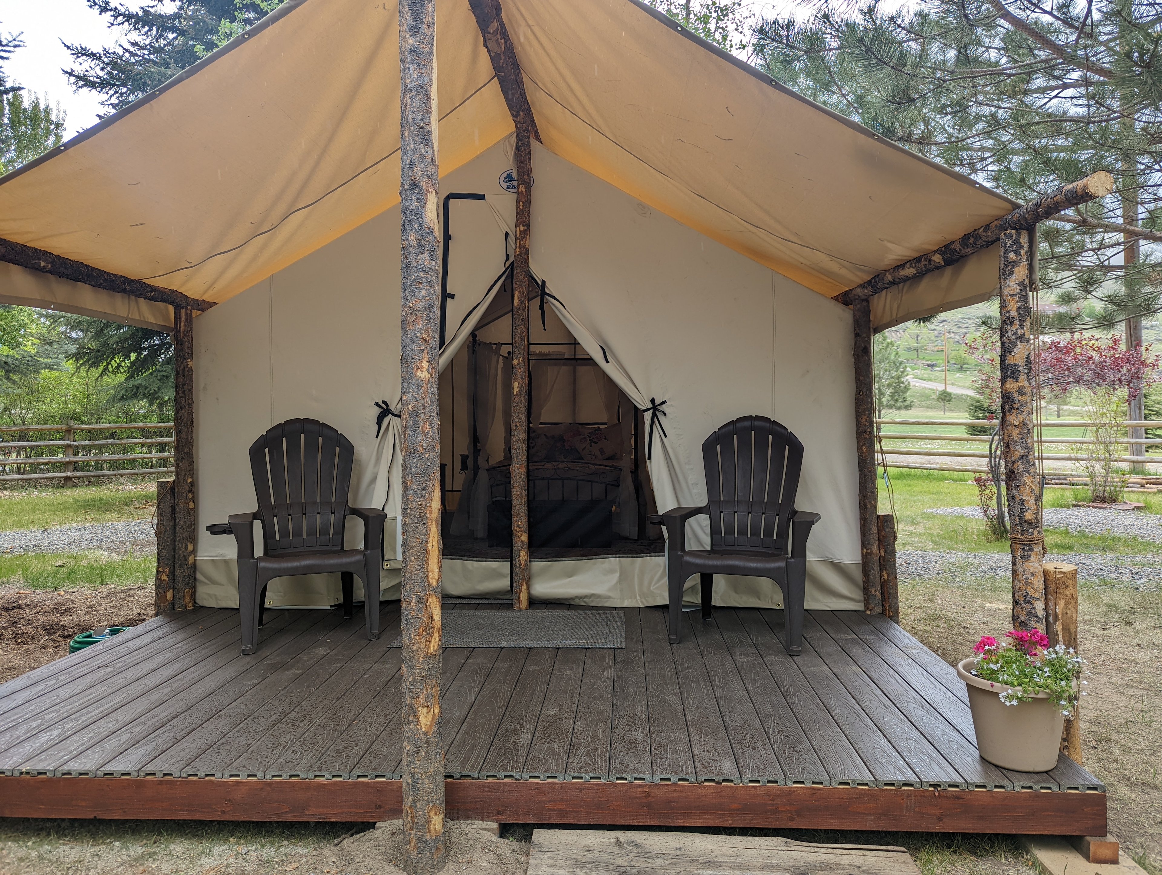 Salmon Gypsy B&B & Mini-Donkey Ranch