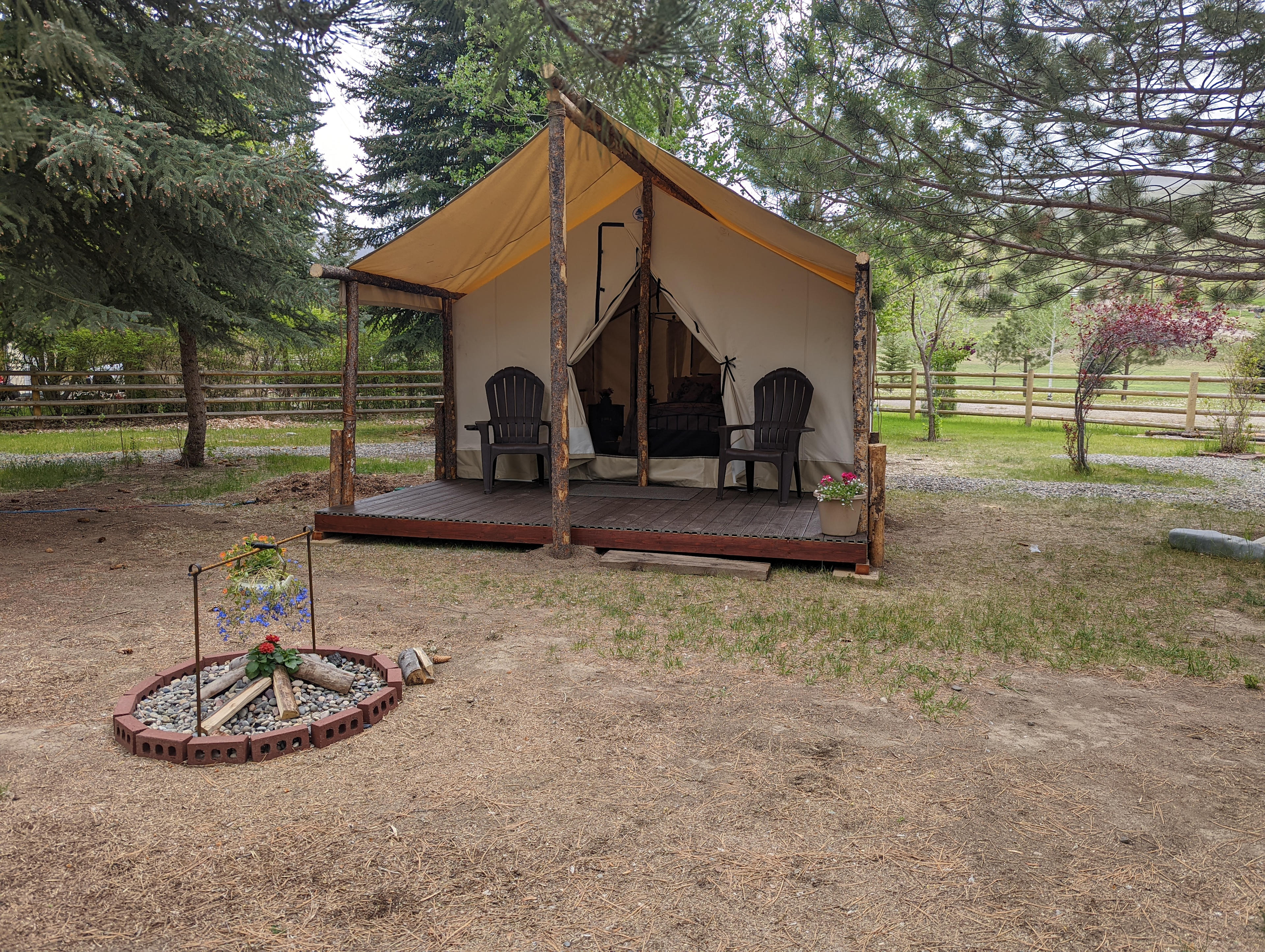 Salmon Gypsy B&B & Mini-Donkey Ranch