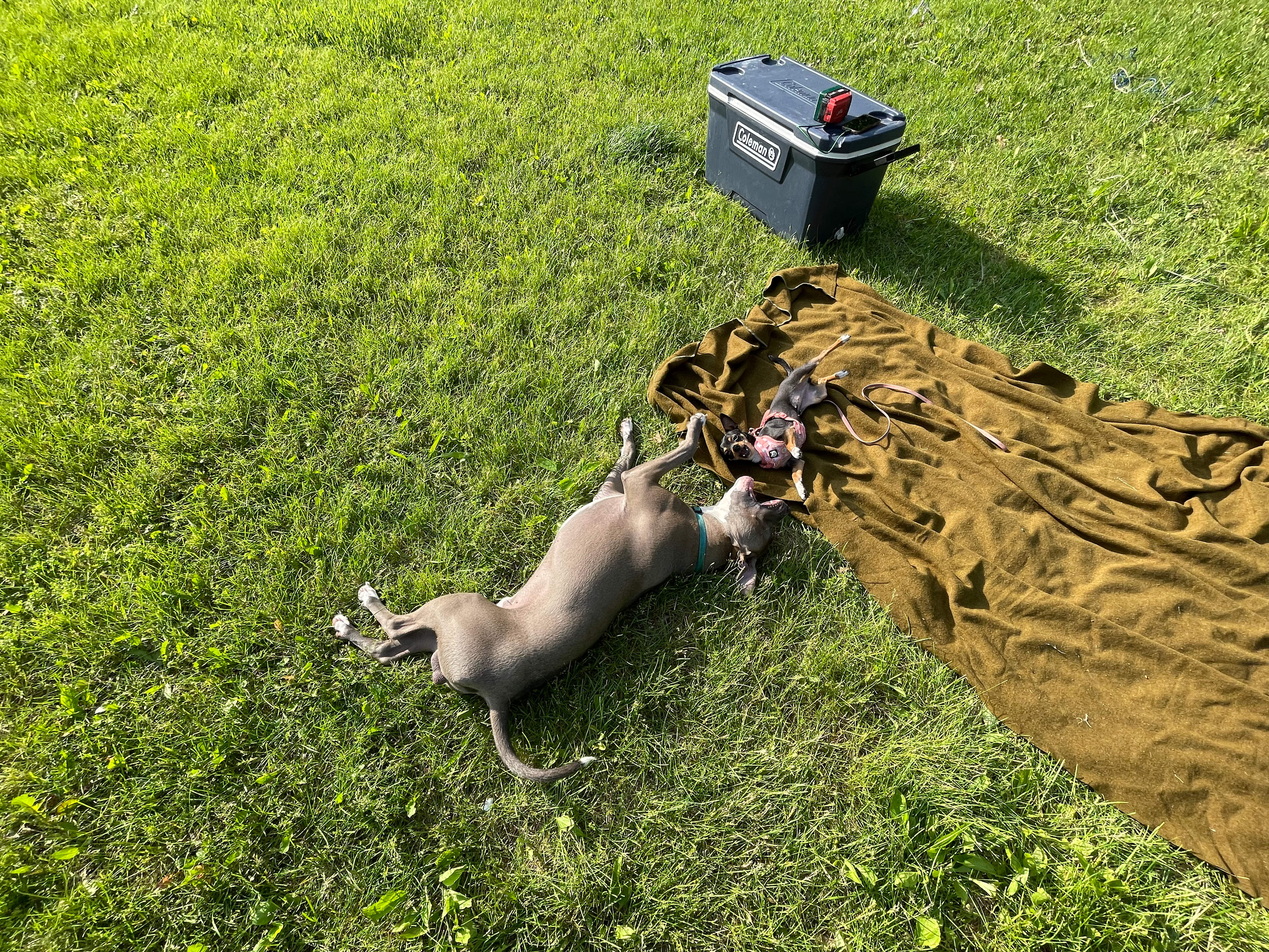 Rockford Ski Club Camping Area