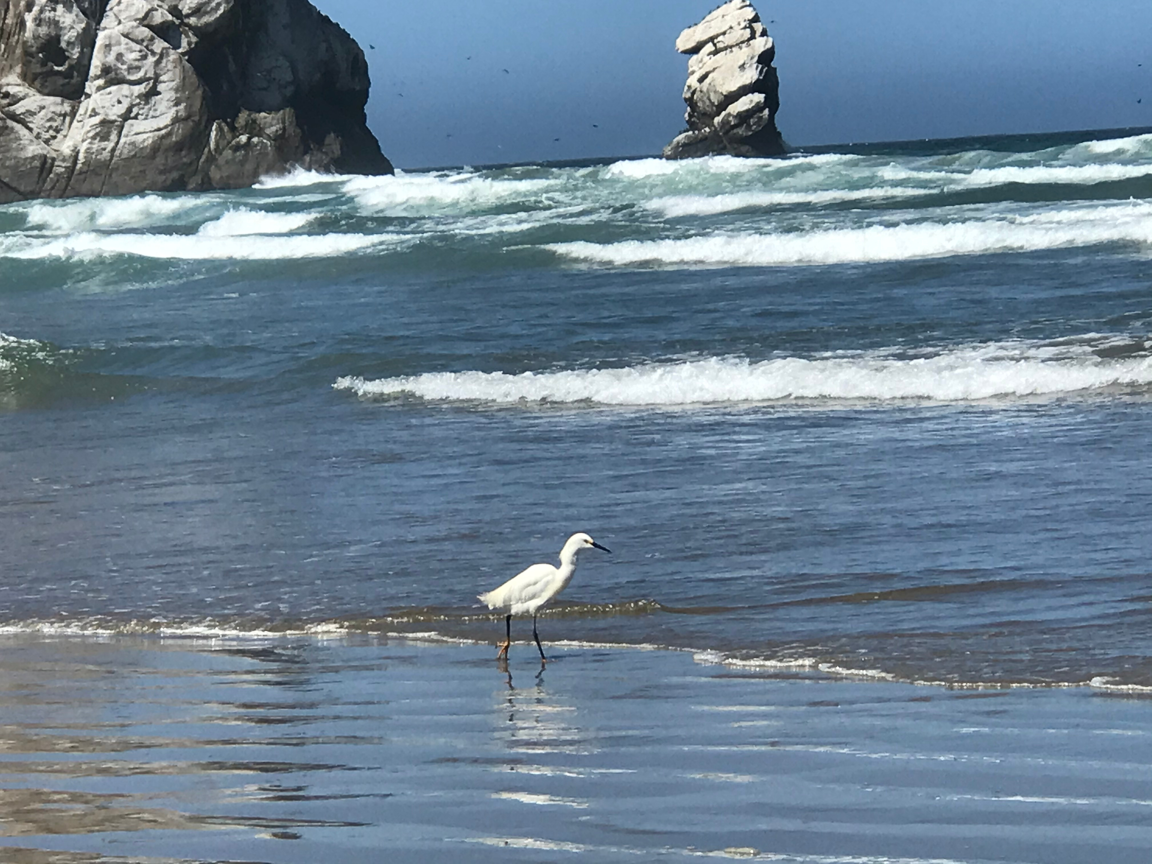 Frog Hollow Homestead