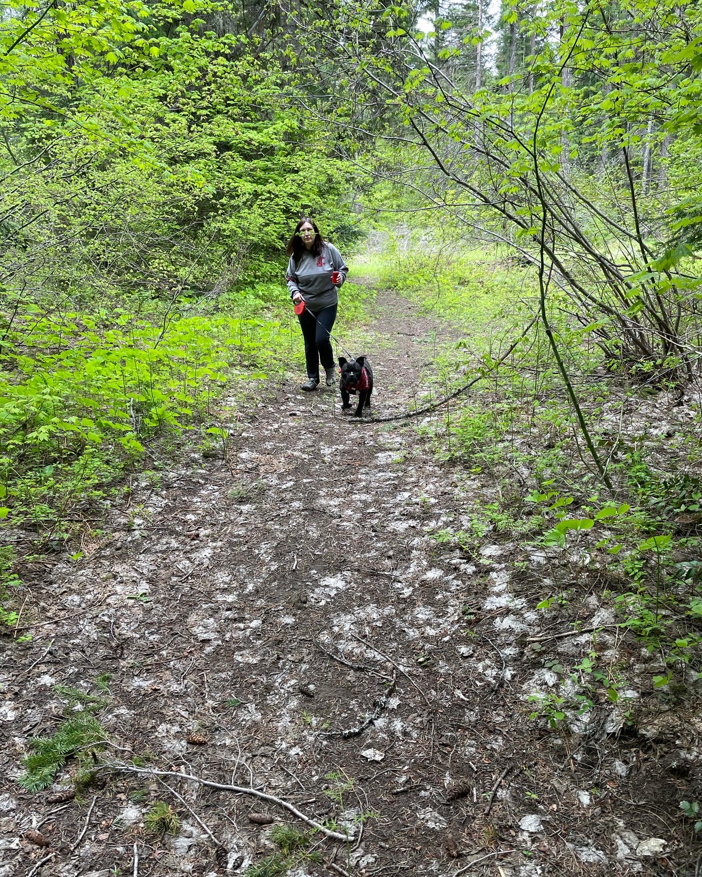 Spring Creek Getaway -Lake Cle Elum