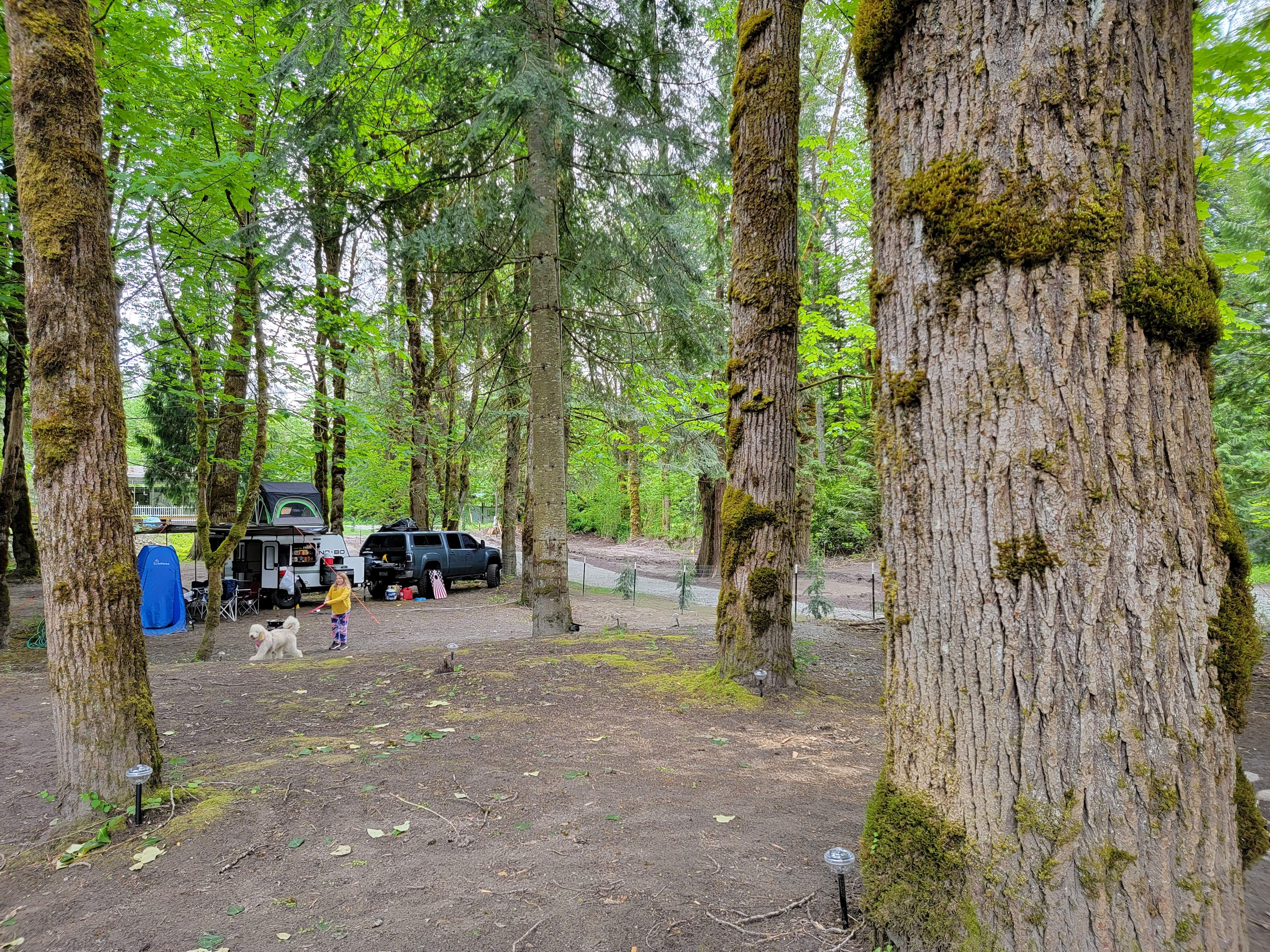 River Rejuvenation Retreat