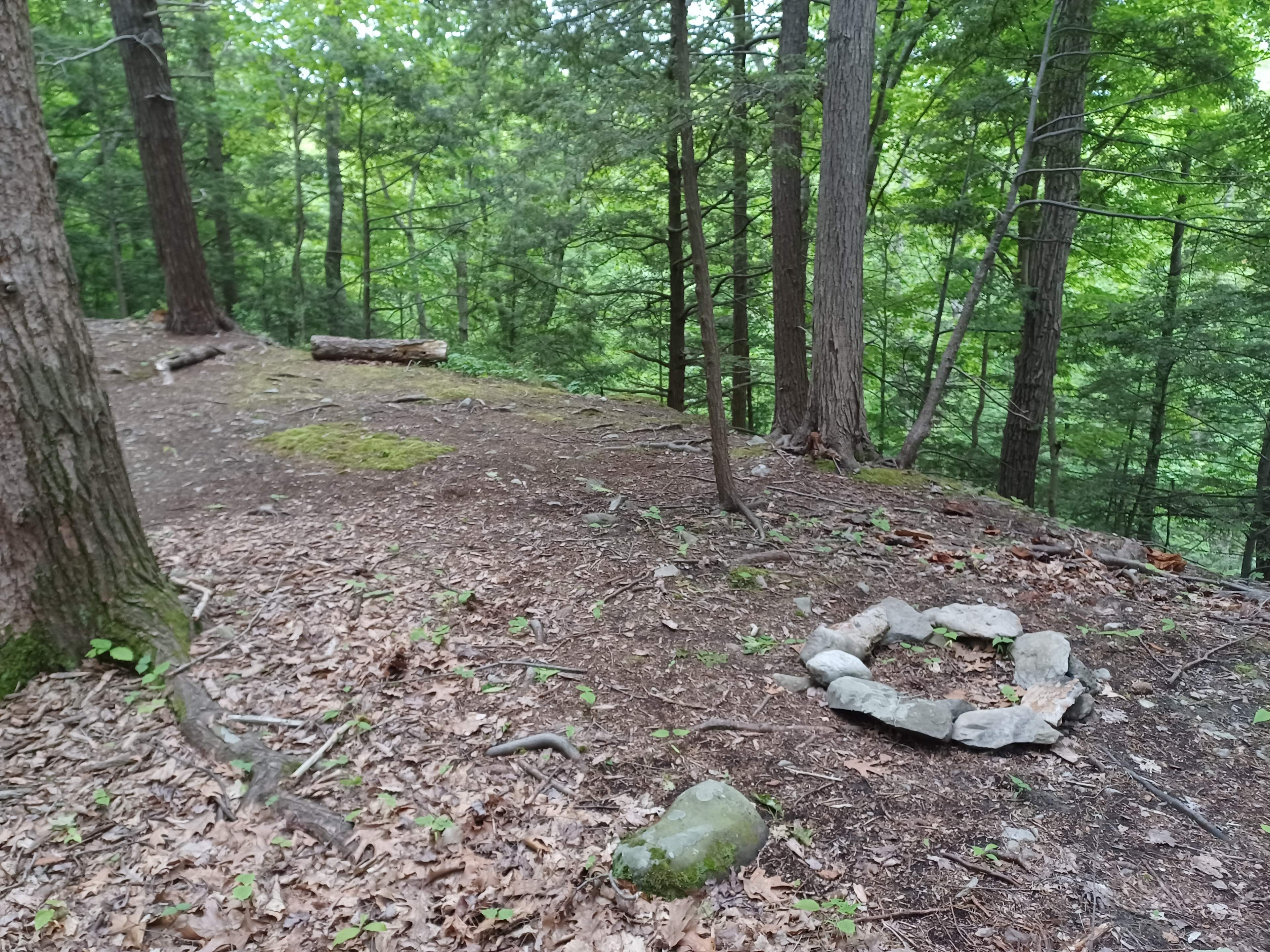 Artimis Ridge