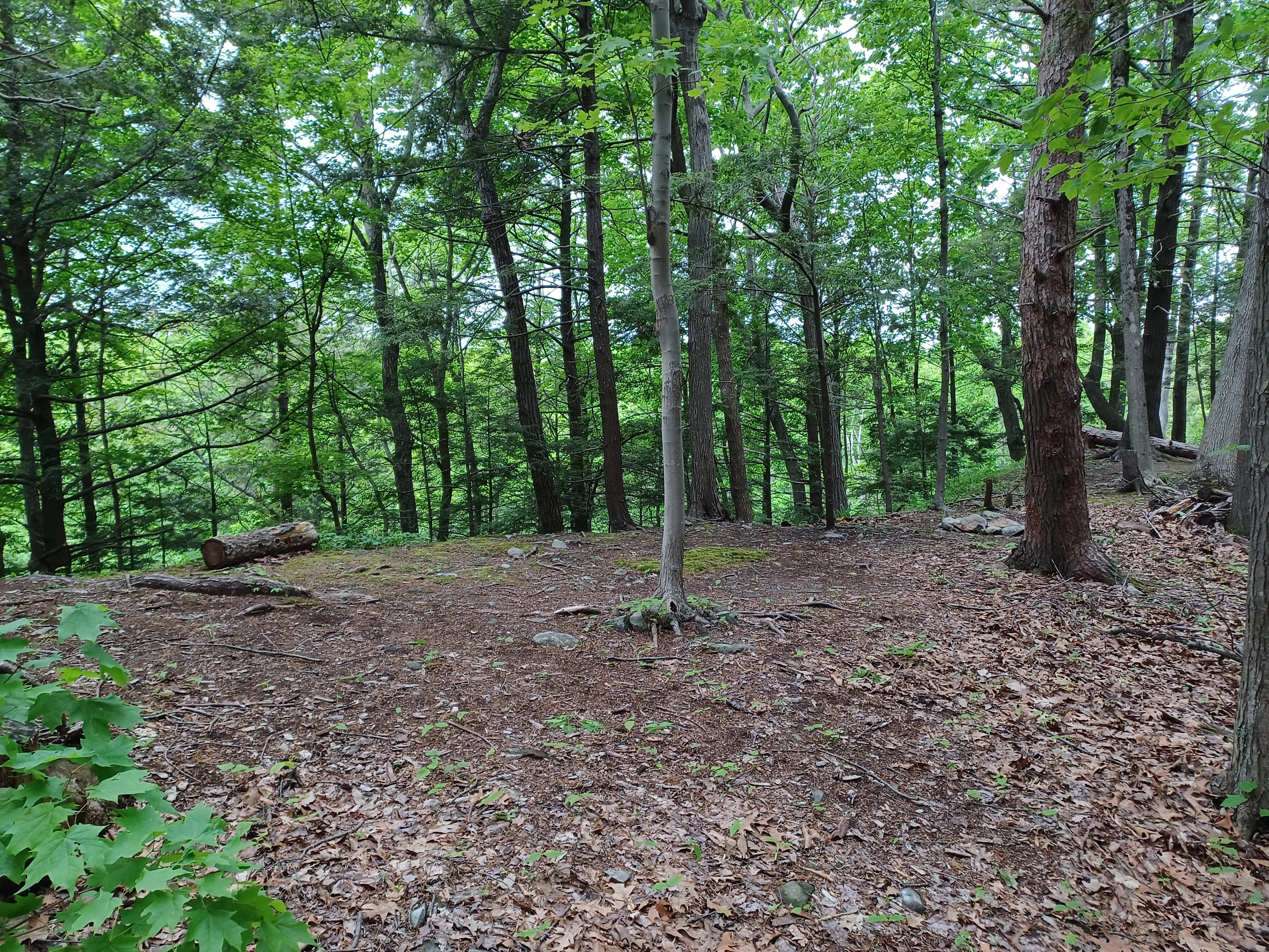 Artimis Ridge
