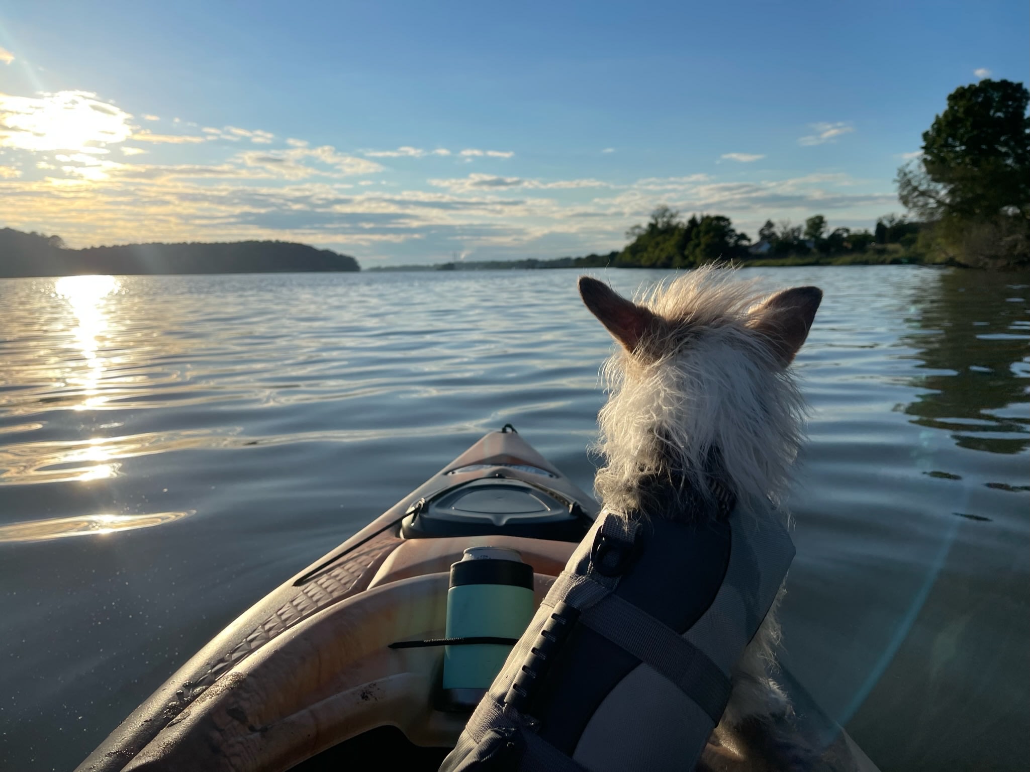 TINYHOME n WOODS & PRIVATE ISLAND