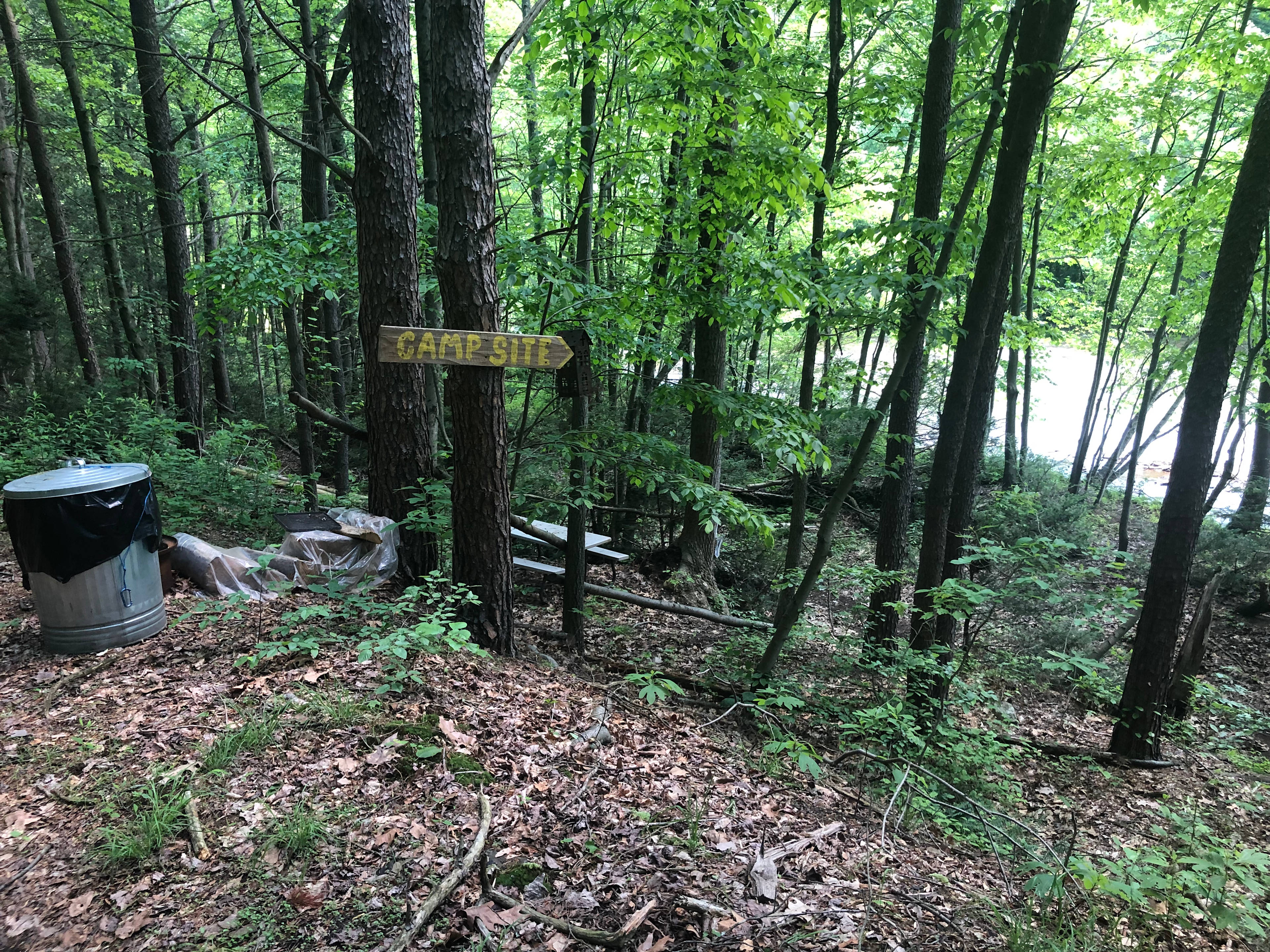 Mahanoy Creek Campground