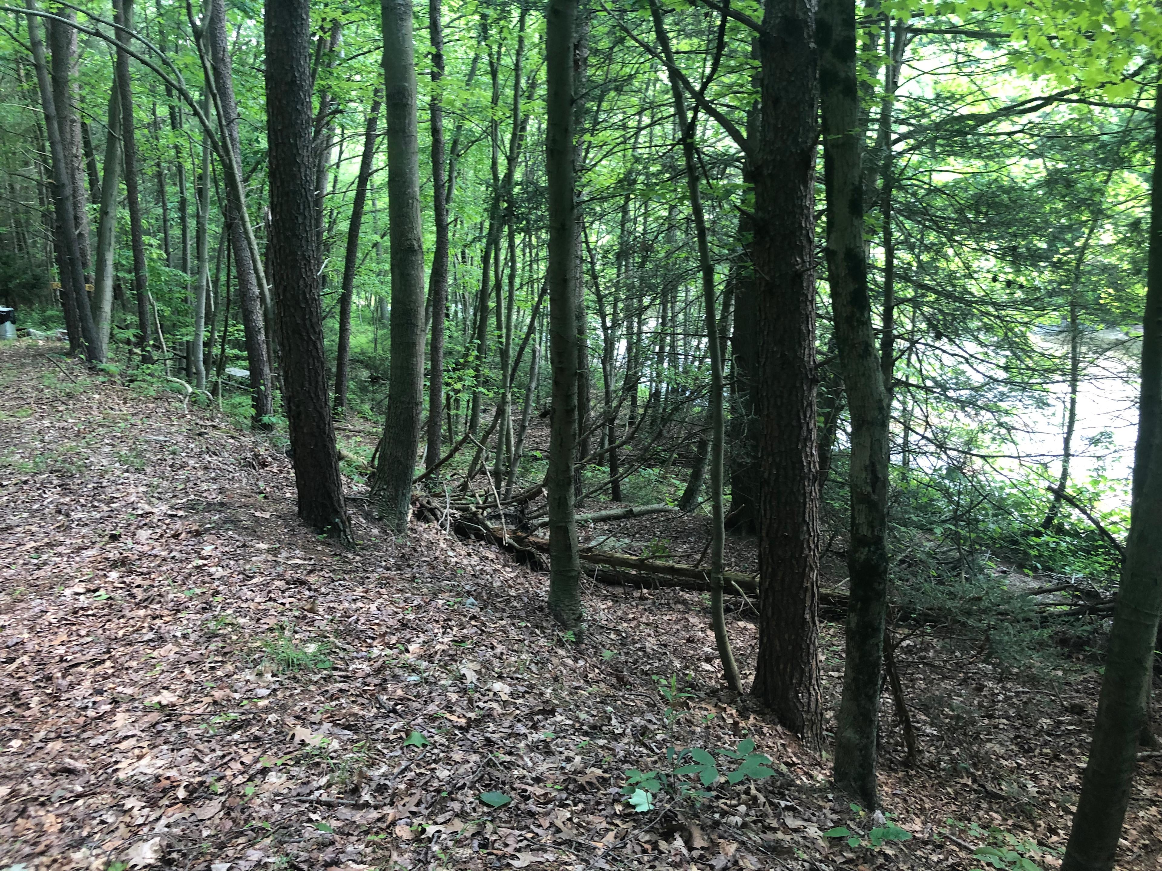 Little Mahanoy Creek Campground