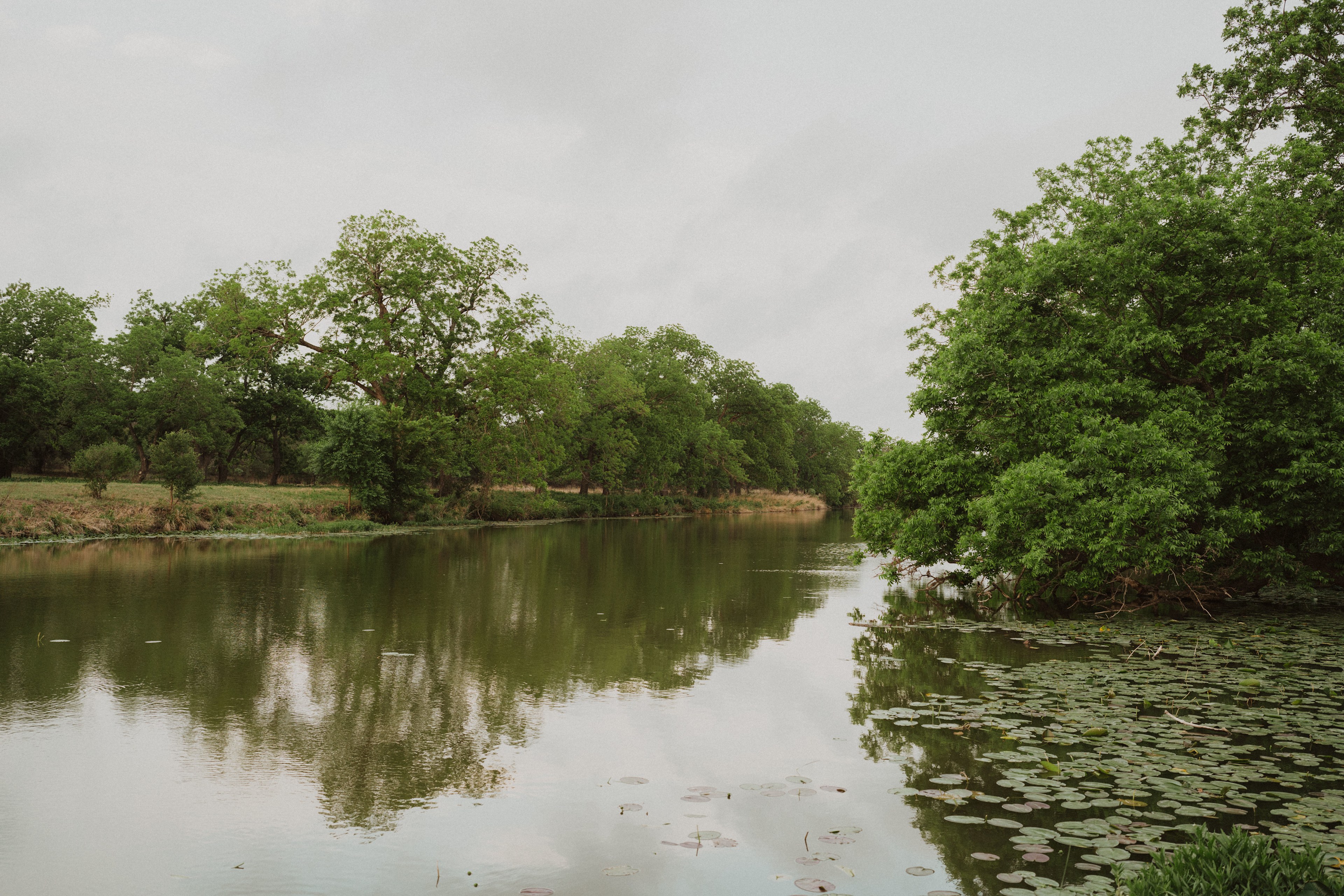 I am told the creek boasts incredible fishing. Unfortunately I left my pole at home!