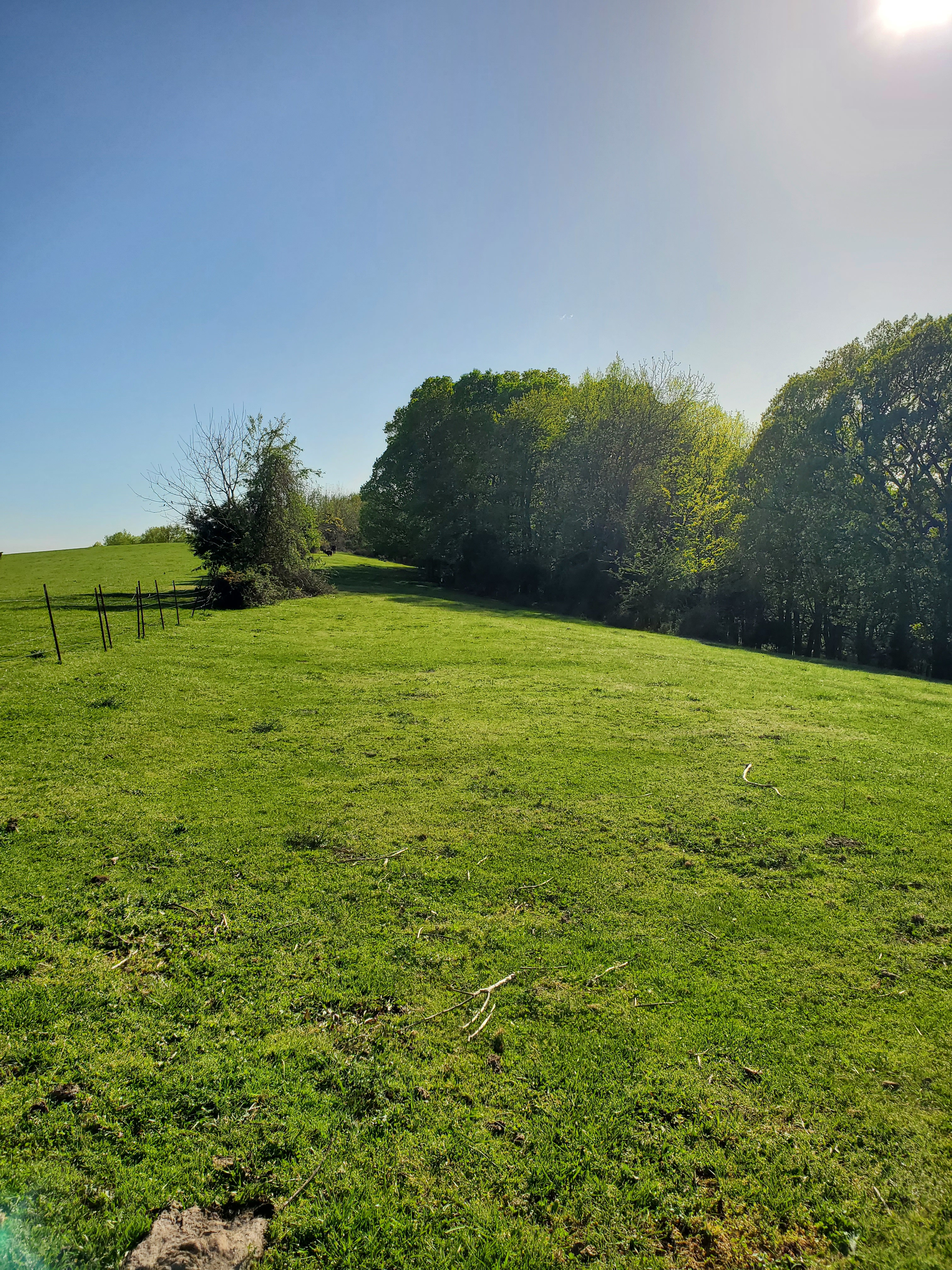 Bullwick Farms