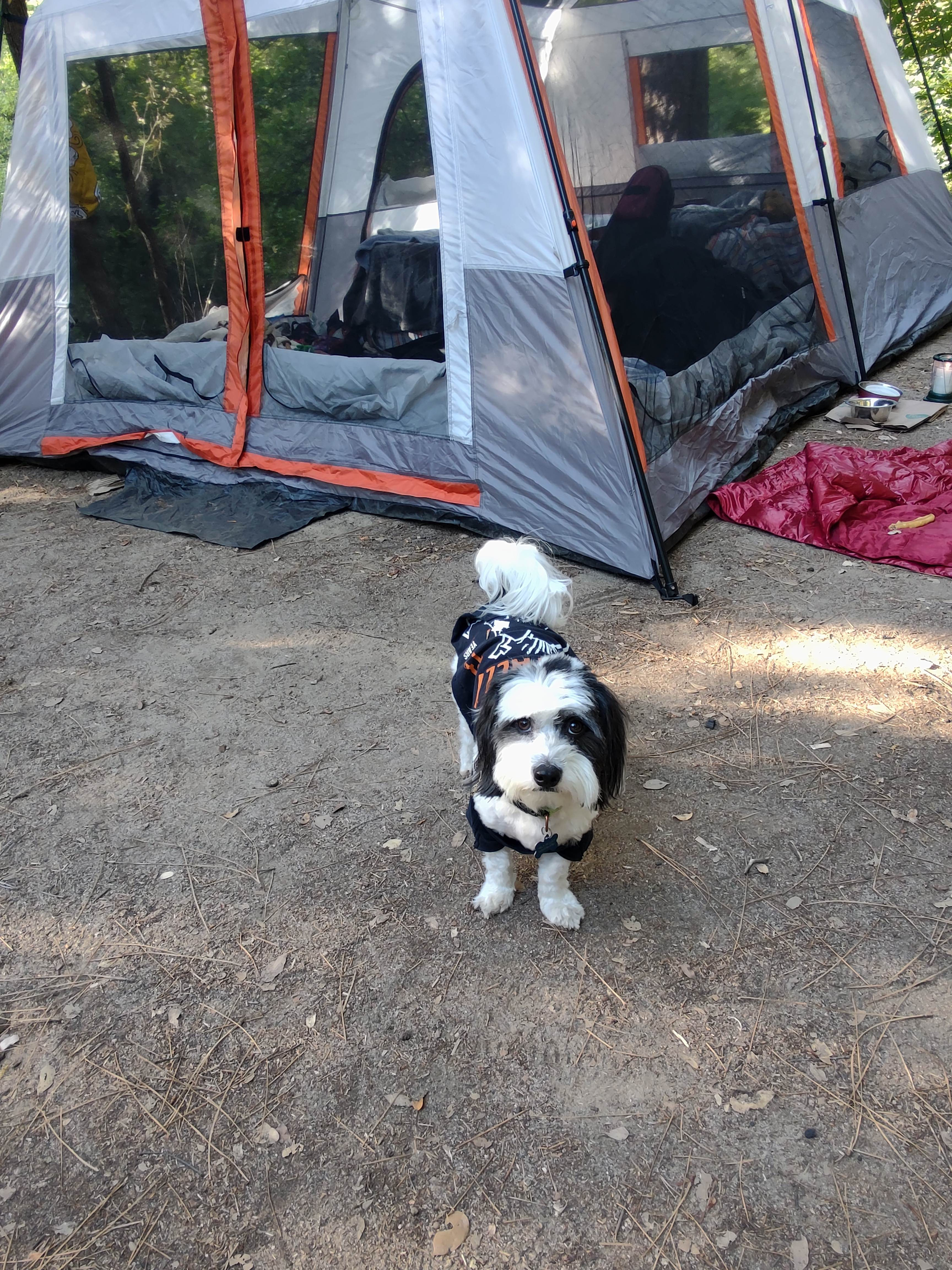 Hidden Falls Yosemite Camp