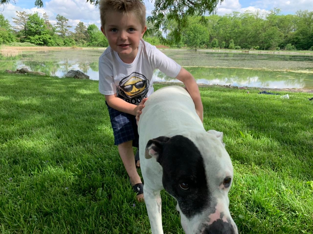  Ben with one of their 3 dogs who were all very kid-friendly