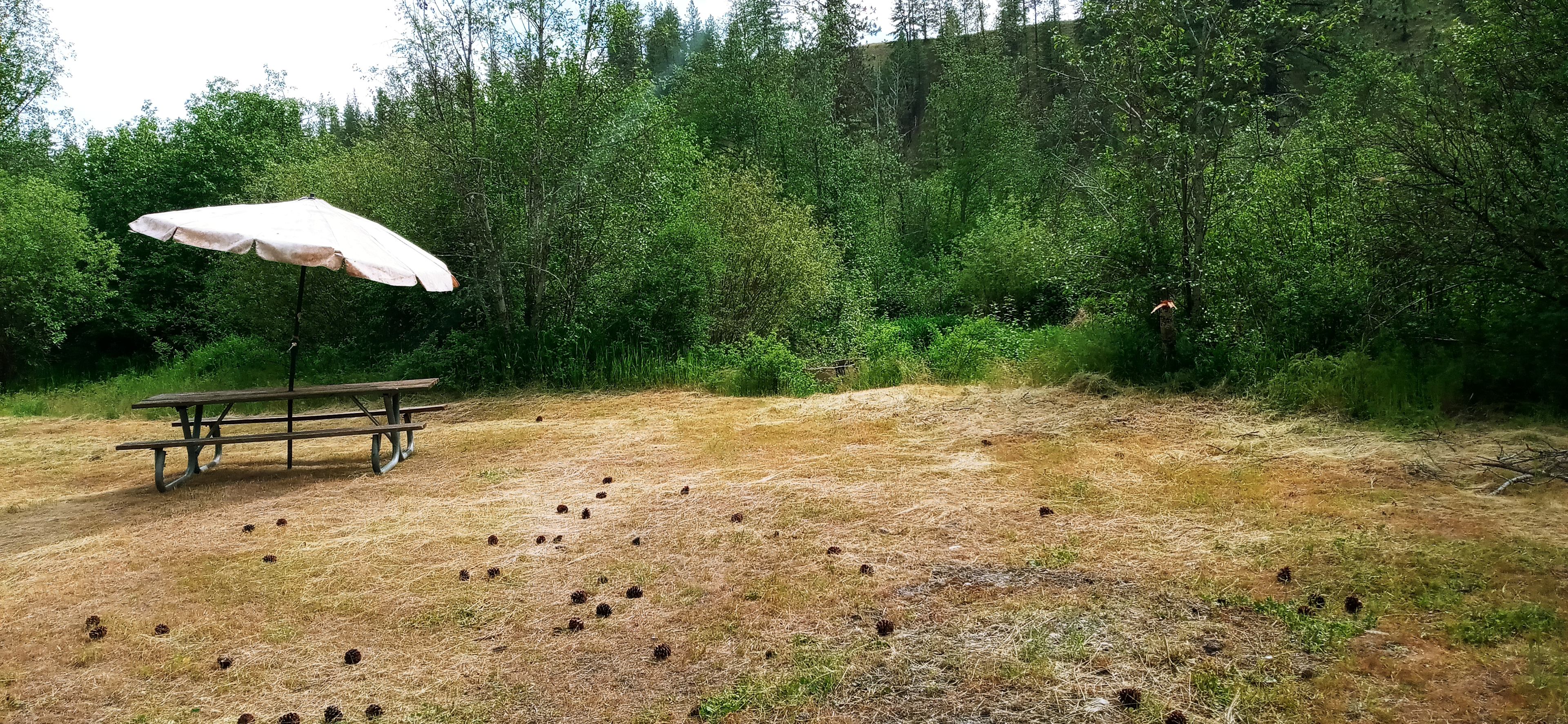 Creekside Camping 509