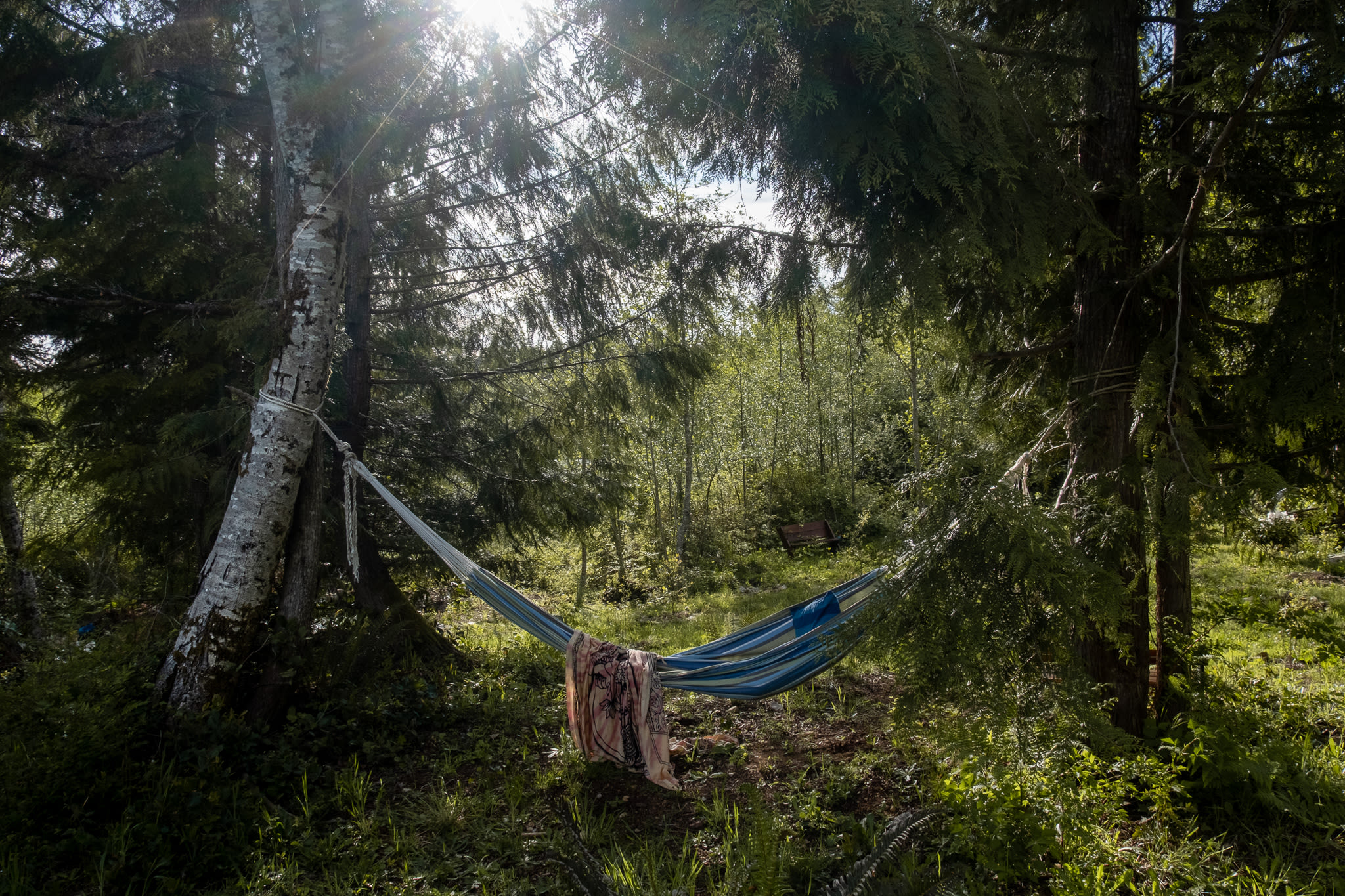 A Hammock to read in