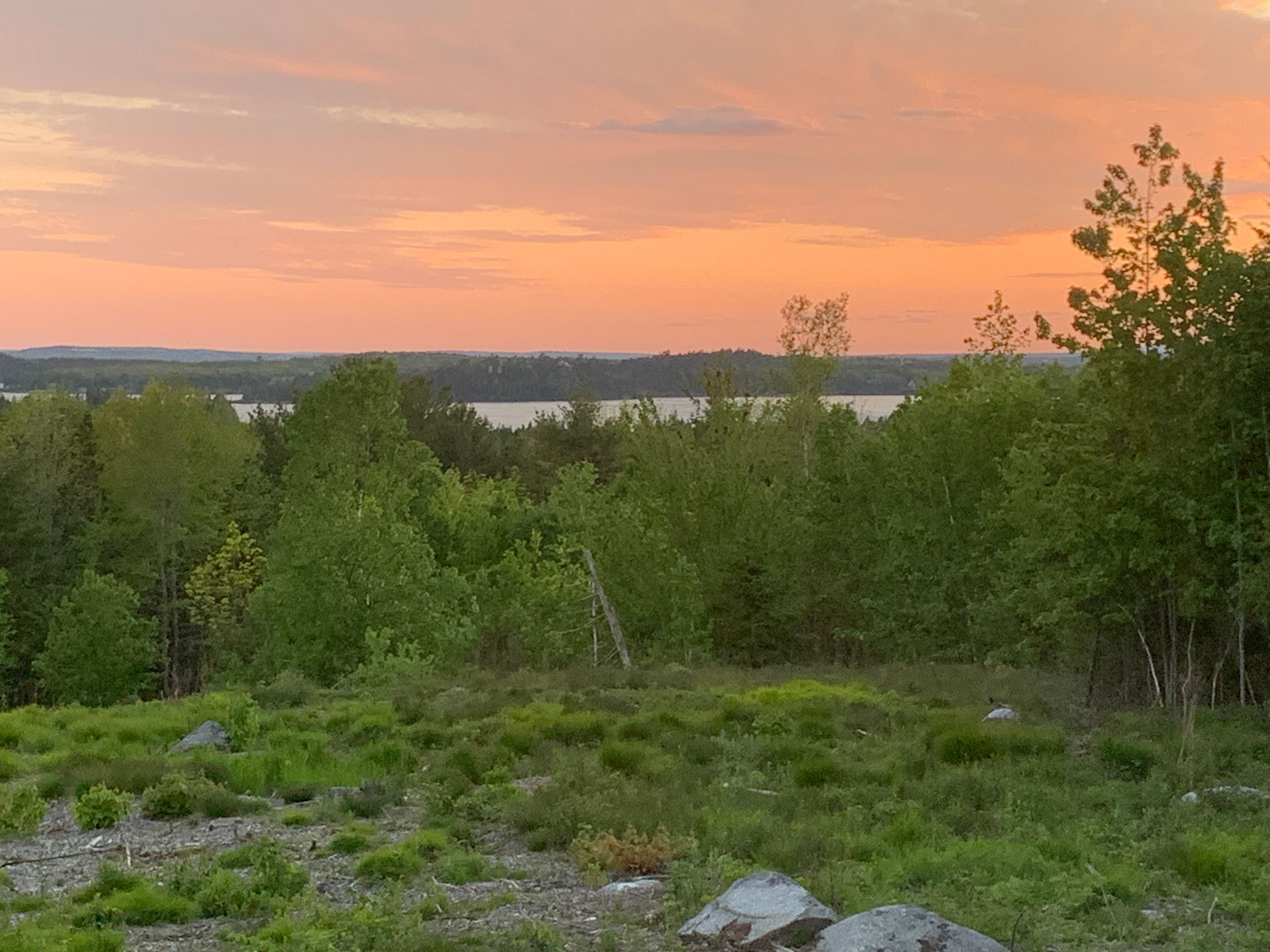 Hillside Gateway to Acadia/Schoodic