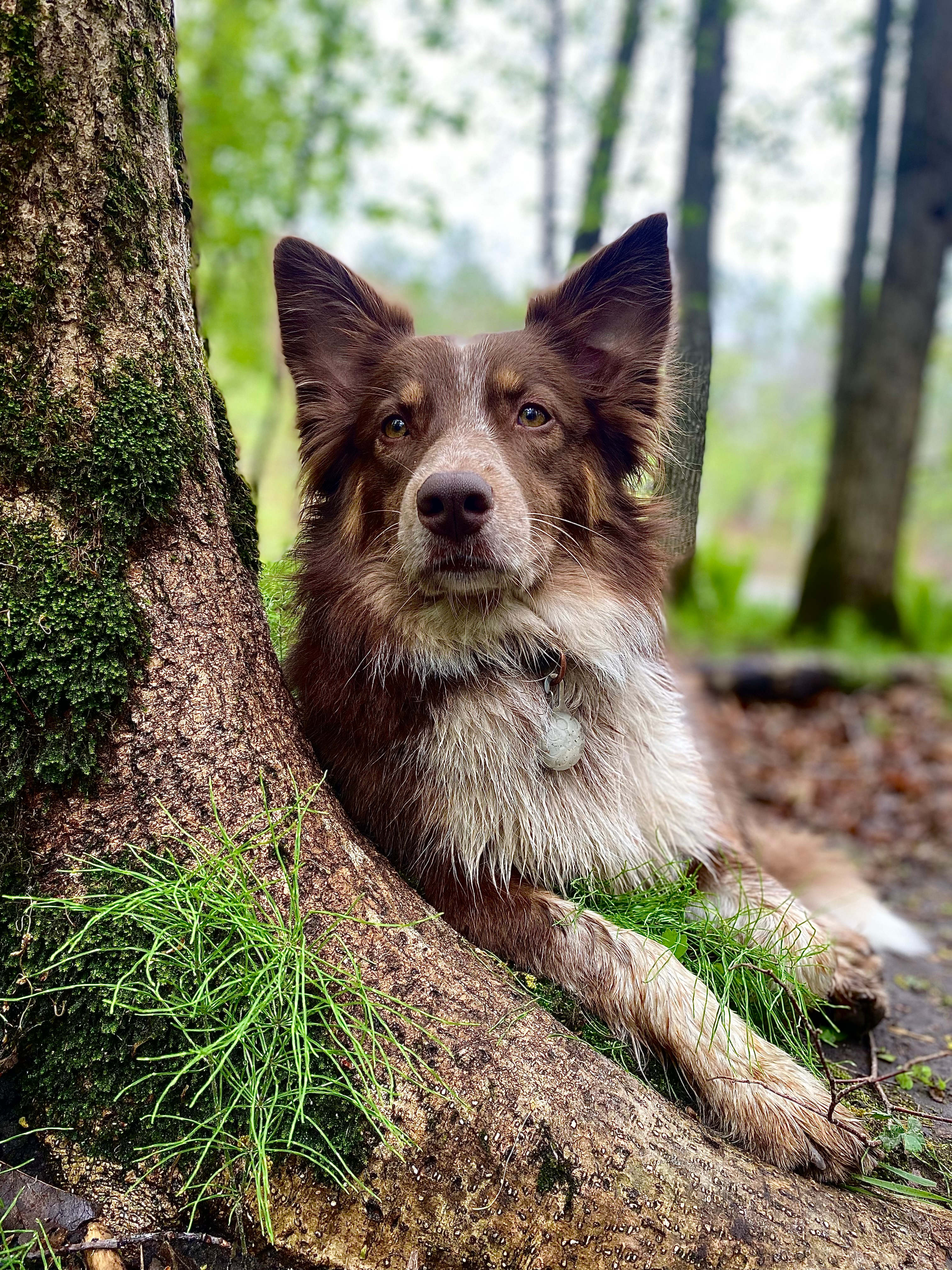 Cuyuna Crossing | Campsites