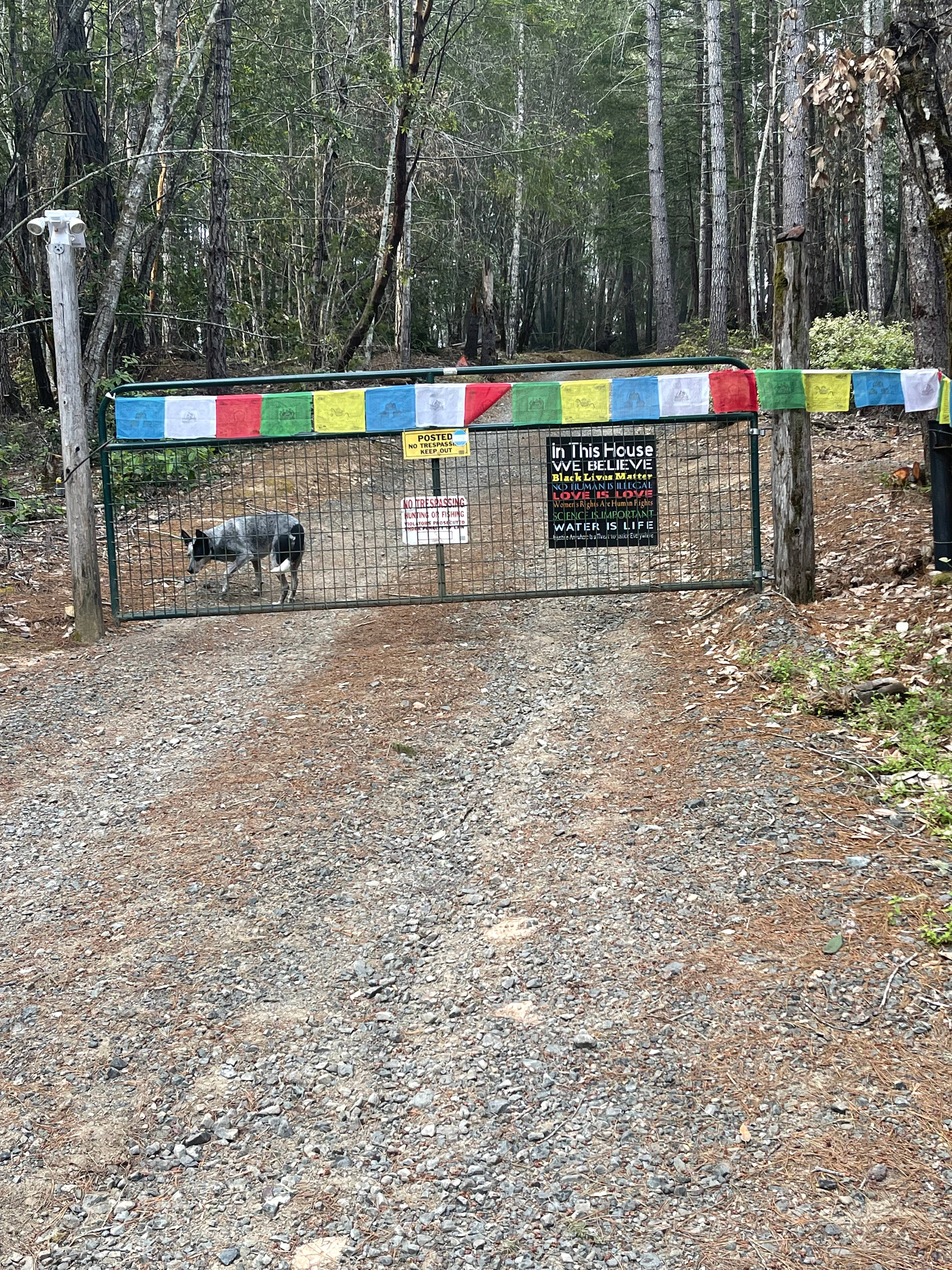 Yurt & Aquaponic Farm in D RedWoods