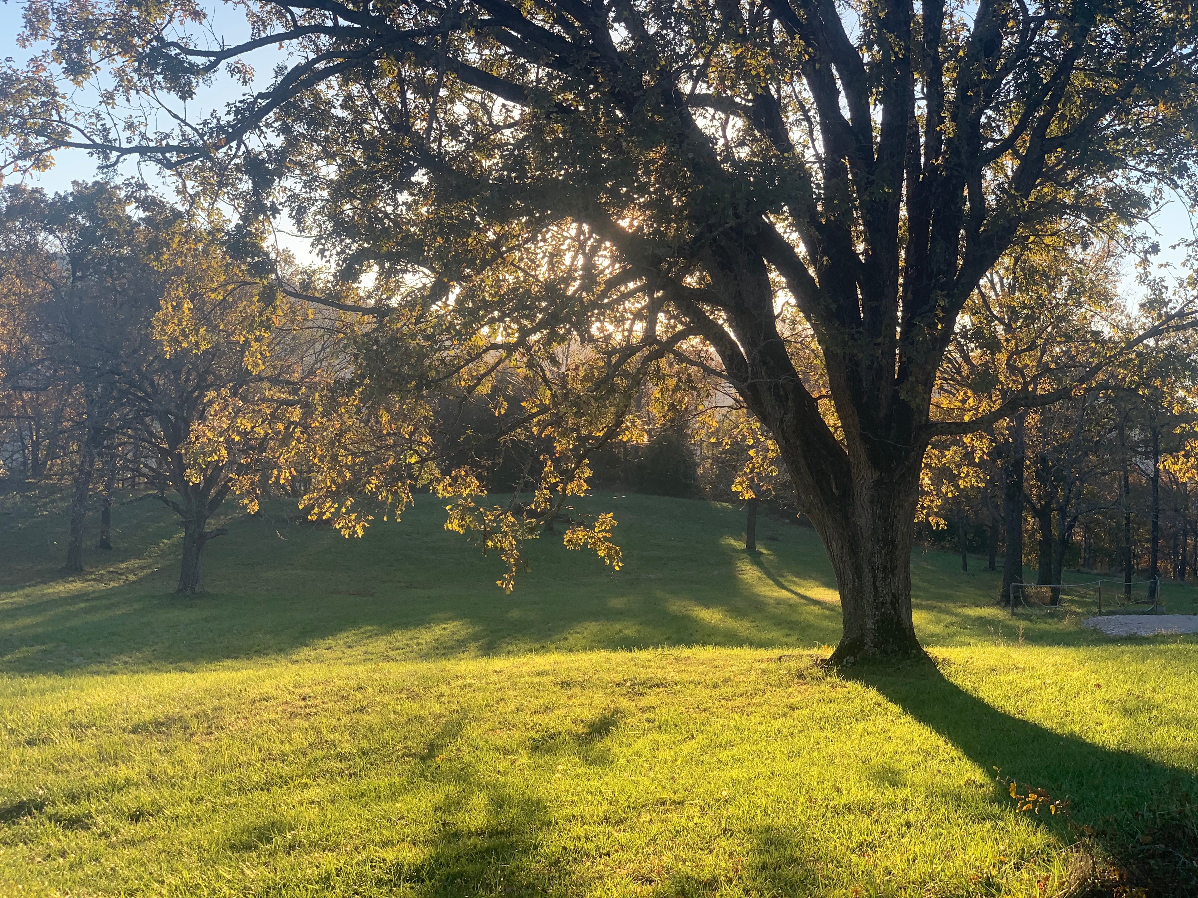 Enchanted Ozark Fairytale Camp