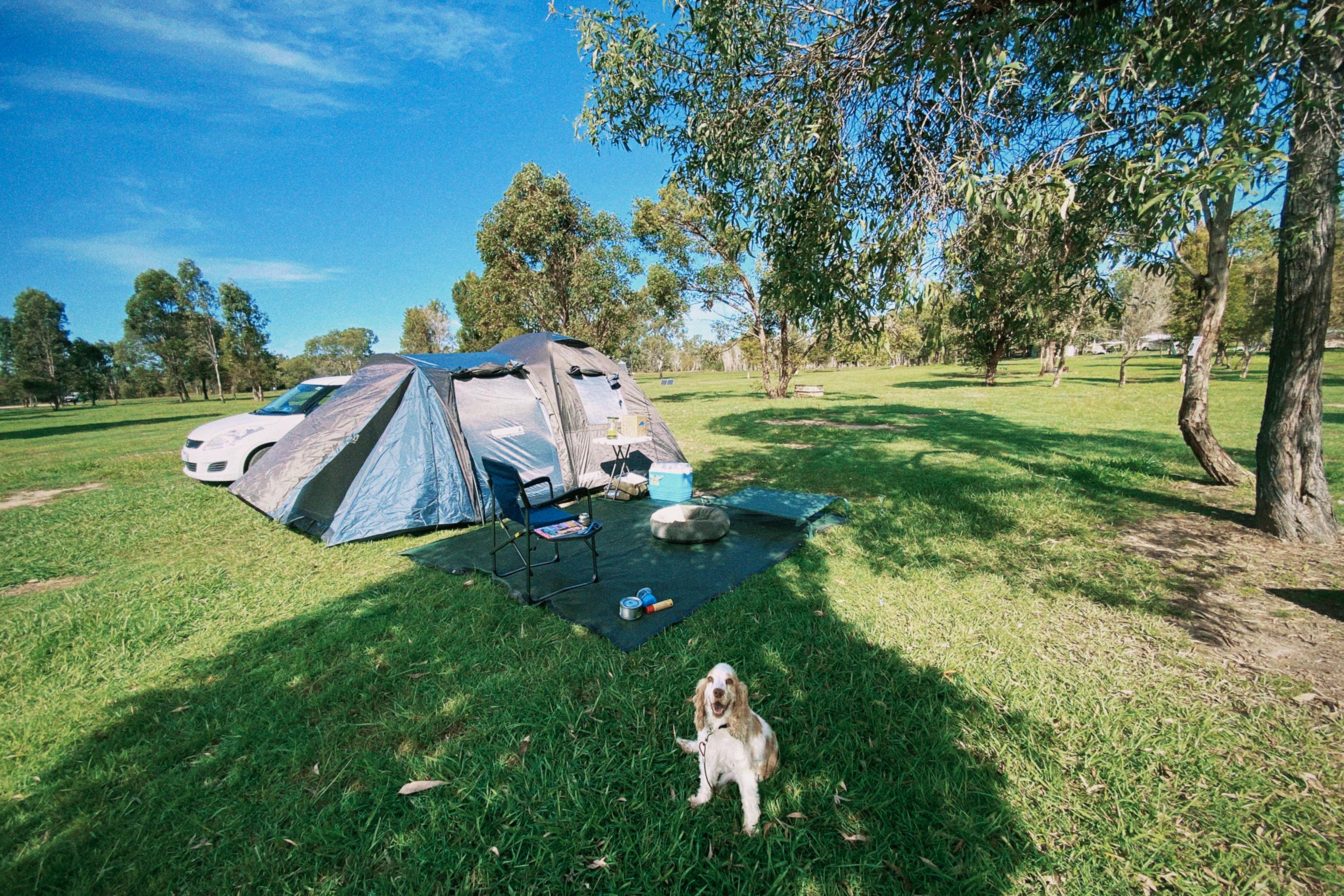 Baffle Creek Camping  Midskinrick