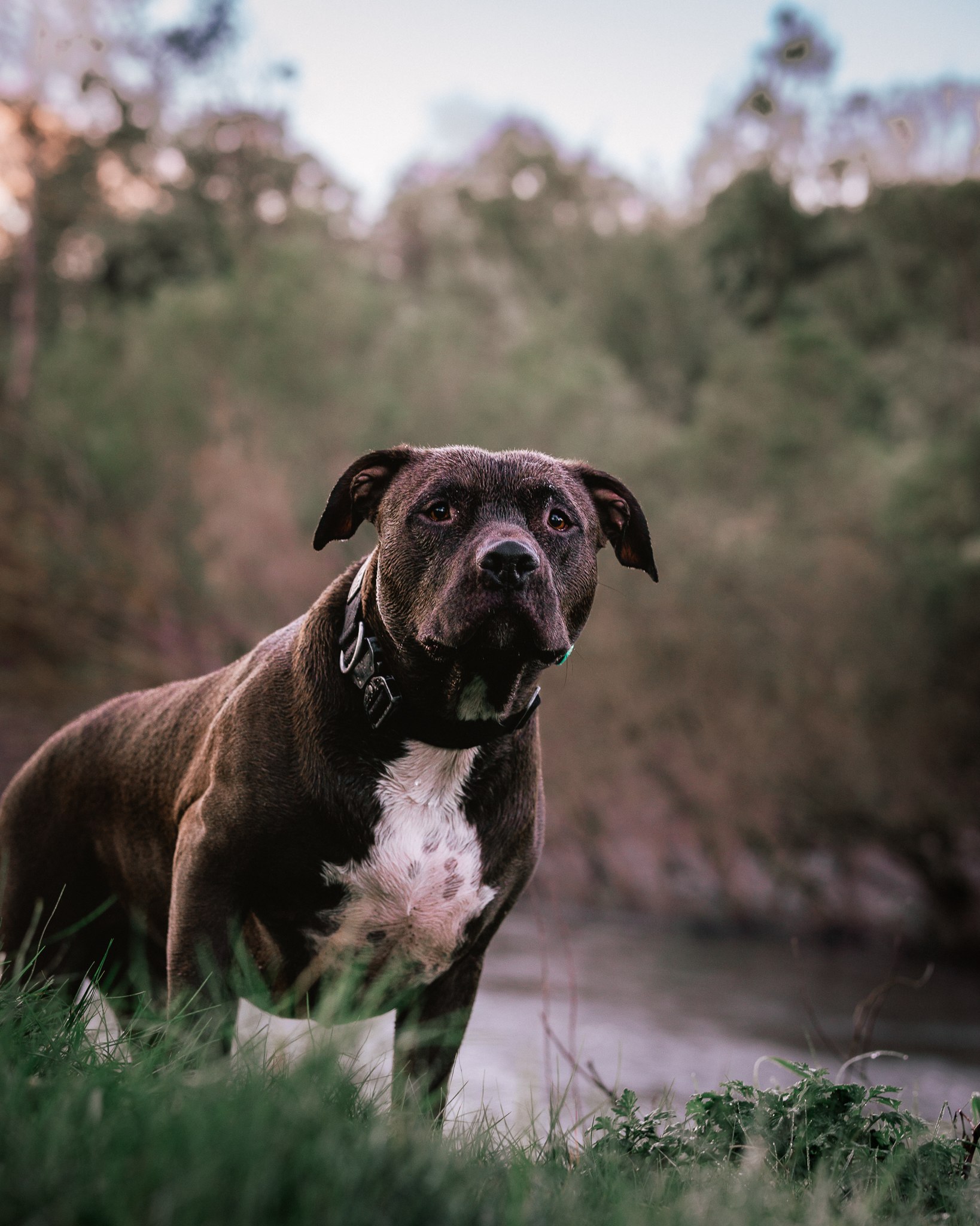 Cracknback Riverside Campground