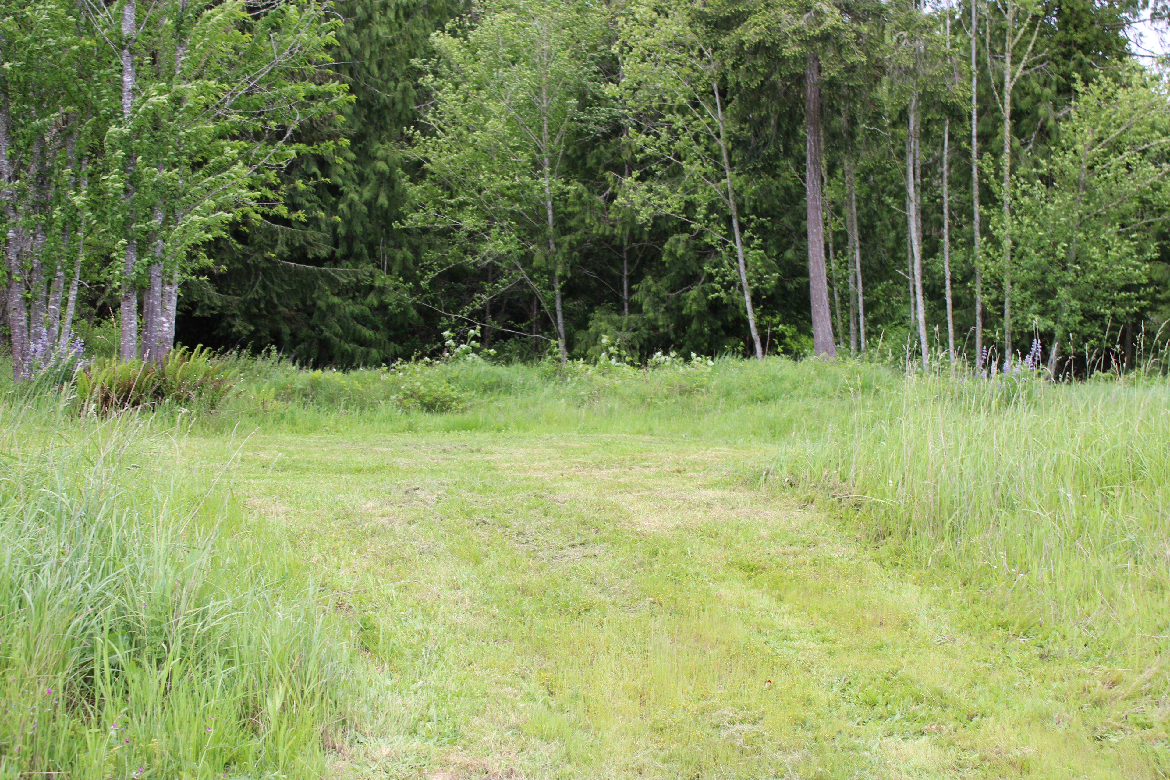 Great picnic spot between camps