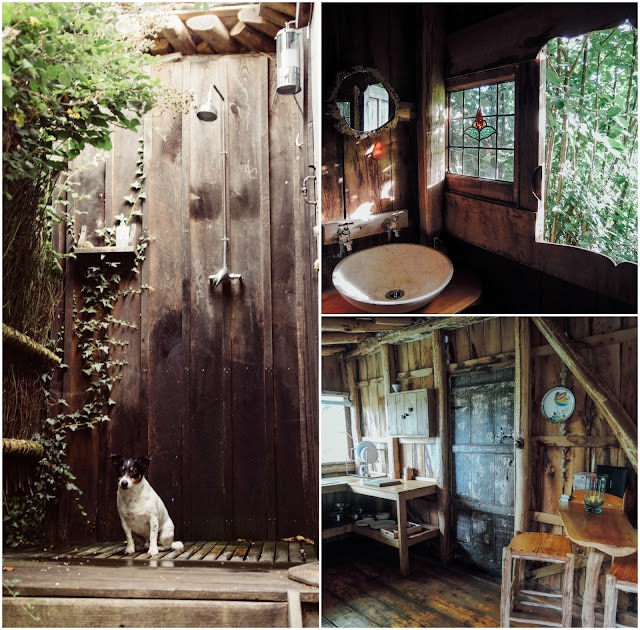 Goytree Glamping and Treehouses