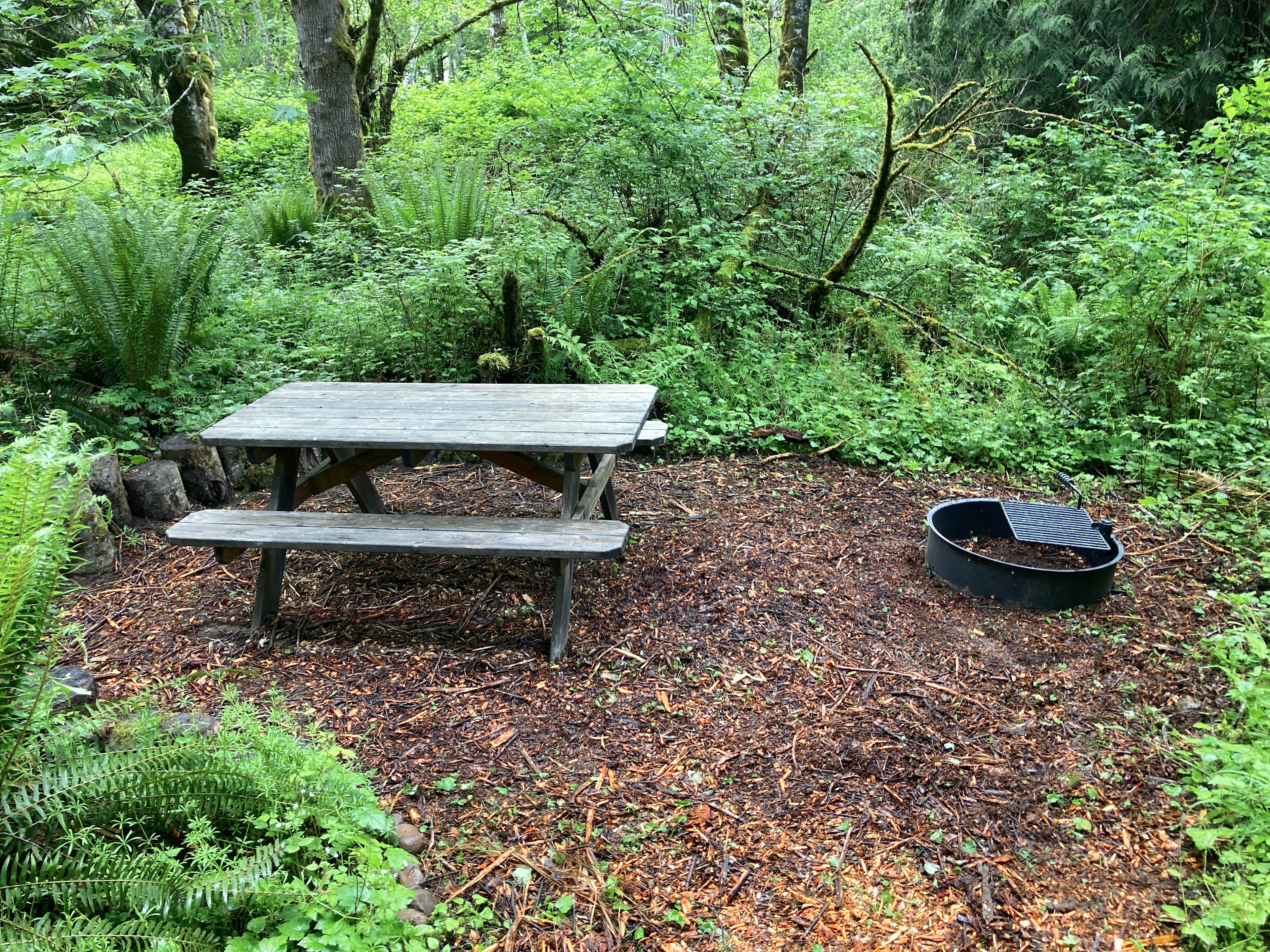 Picnic area
