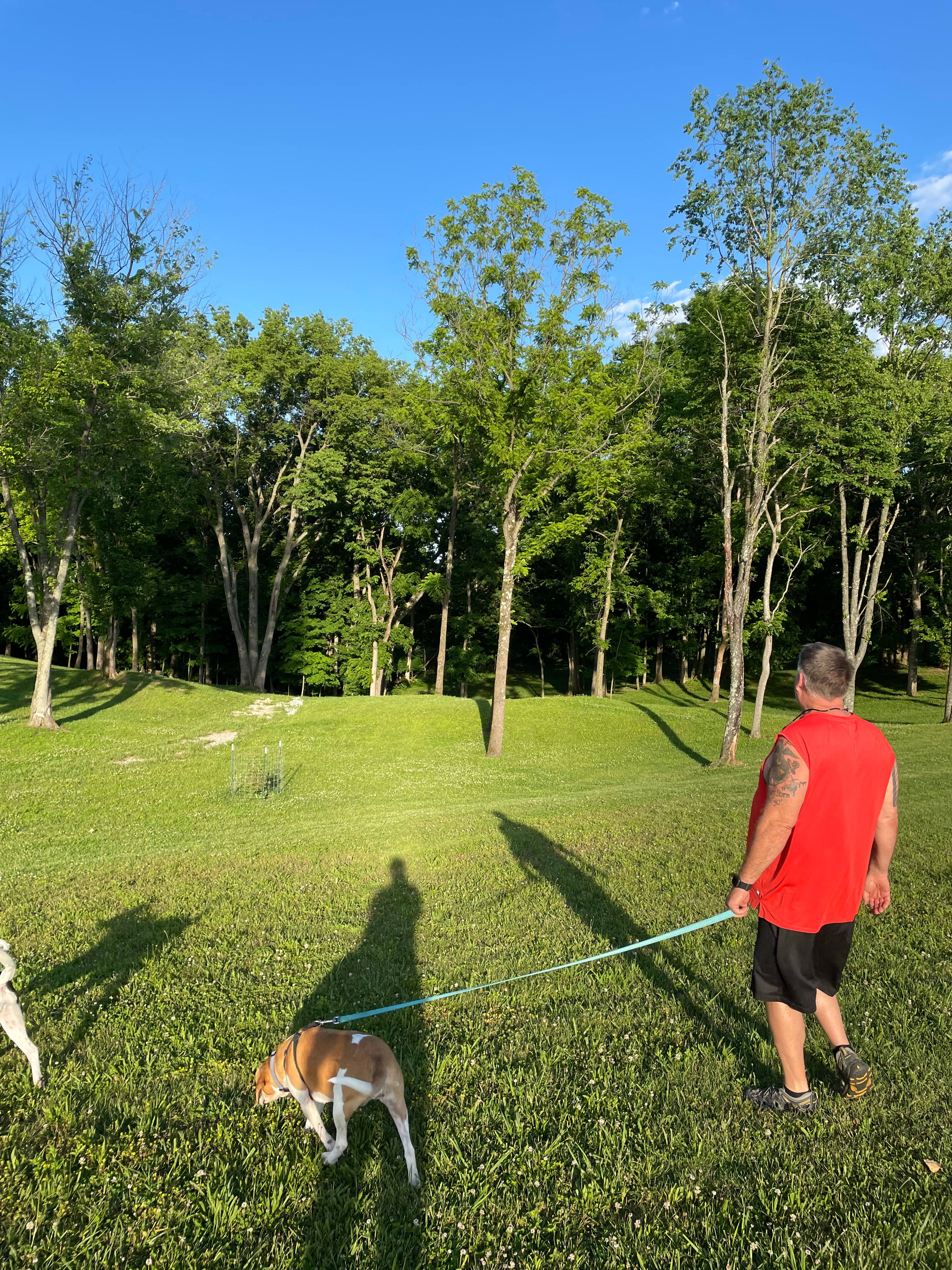 Little Slice of Heaven <3