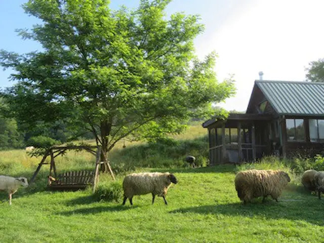 Echo Valley Farm