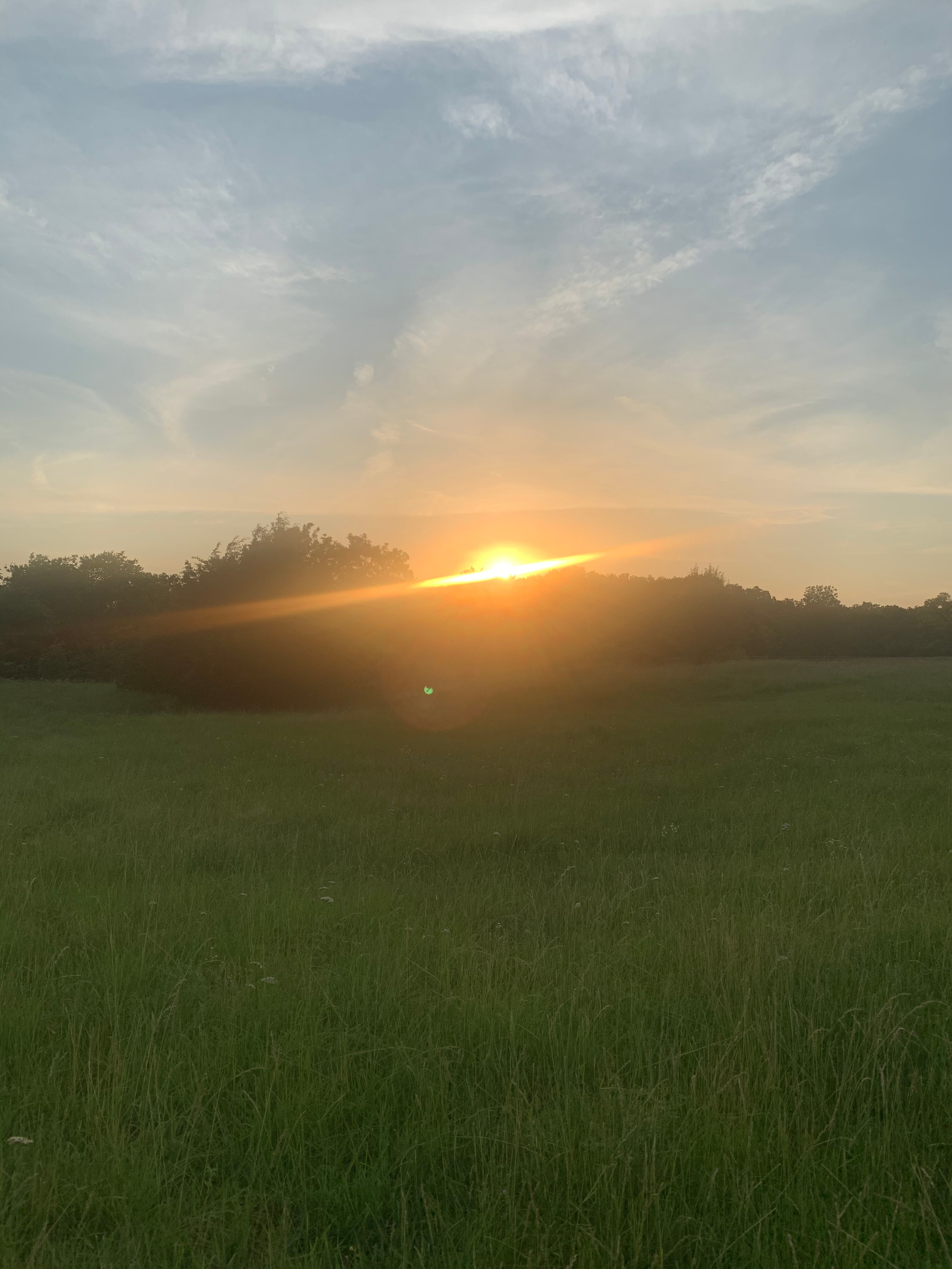 Peaceful Family Farm