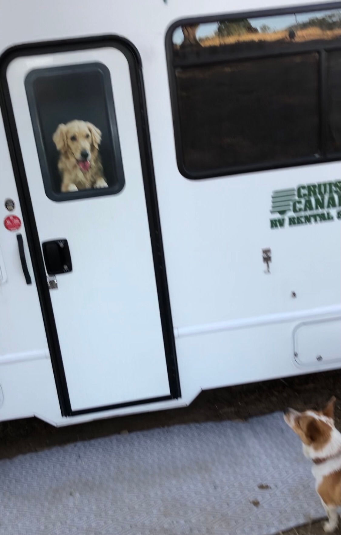 Molly visiting a new campers.