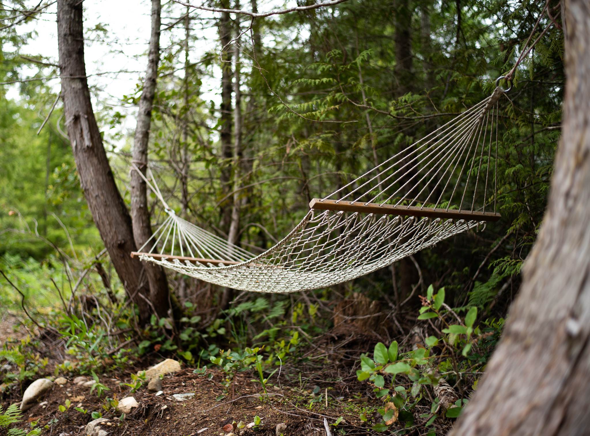 There's a few hammocks strung around the property for anyone to relax in.