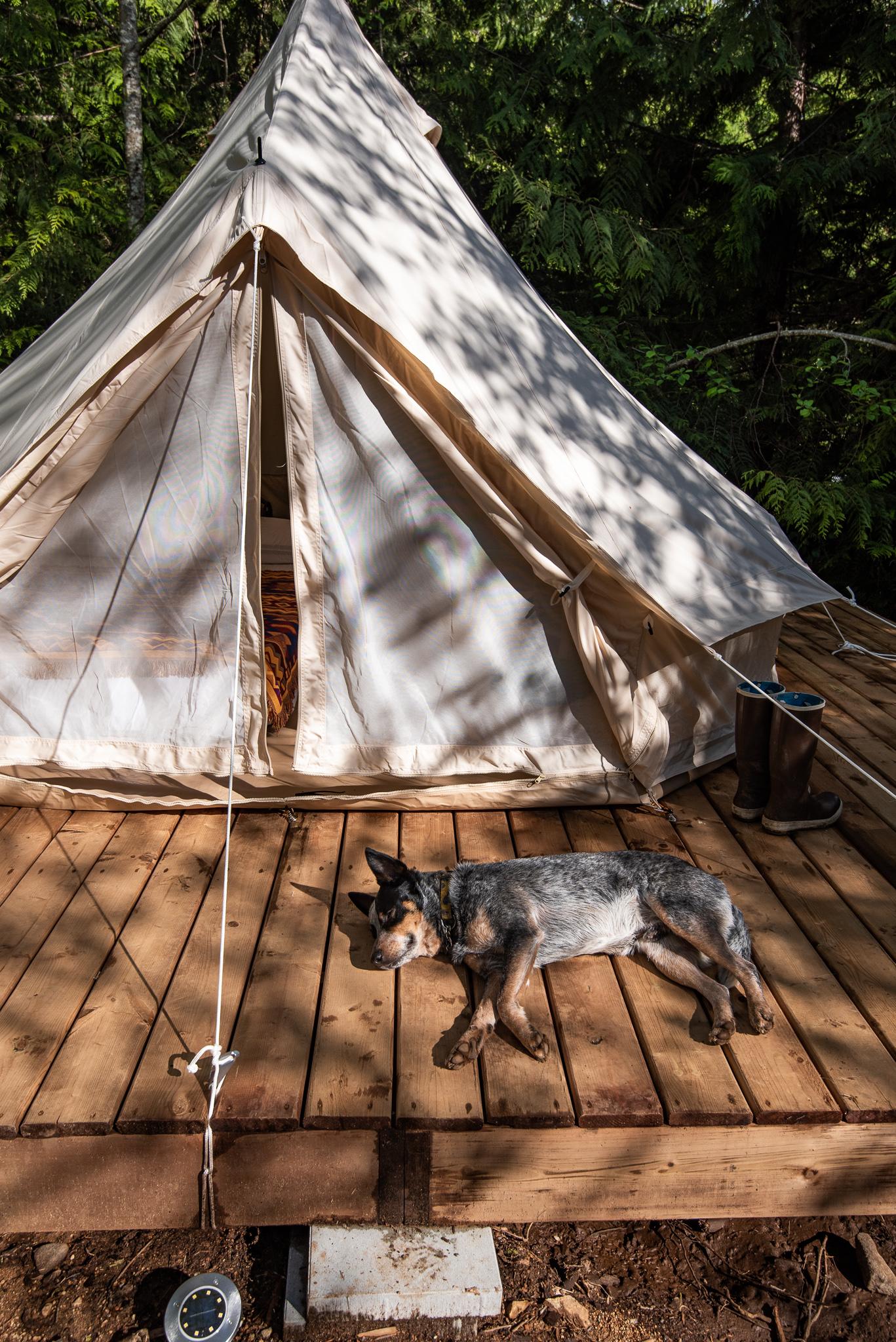 The tent is raised off the ground by this beautiful wooden deck which catches the afternoon sun.