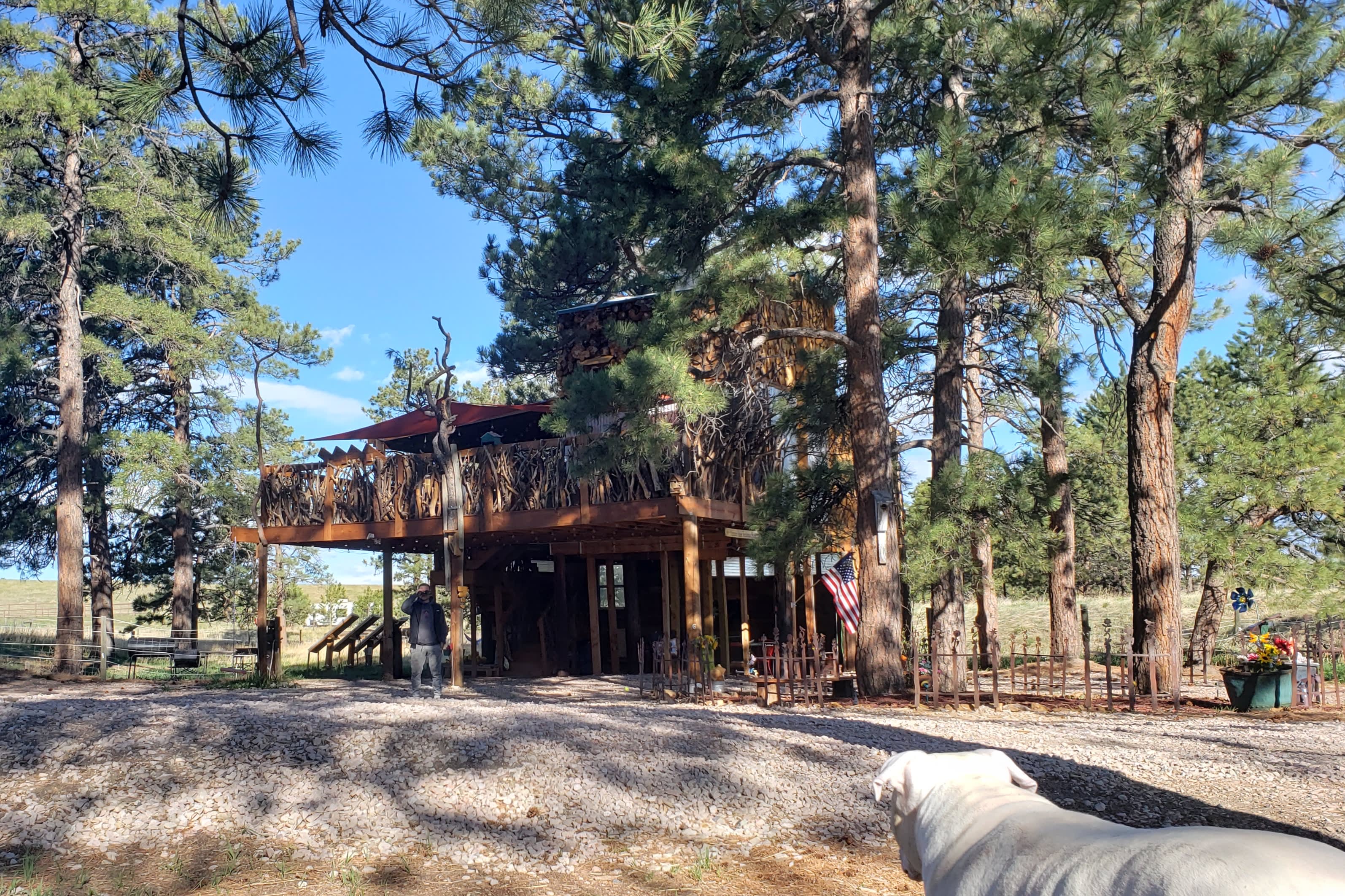 Treehouse Magic @ Houses High