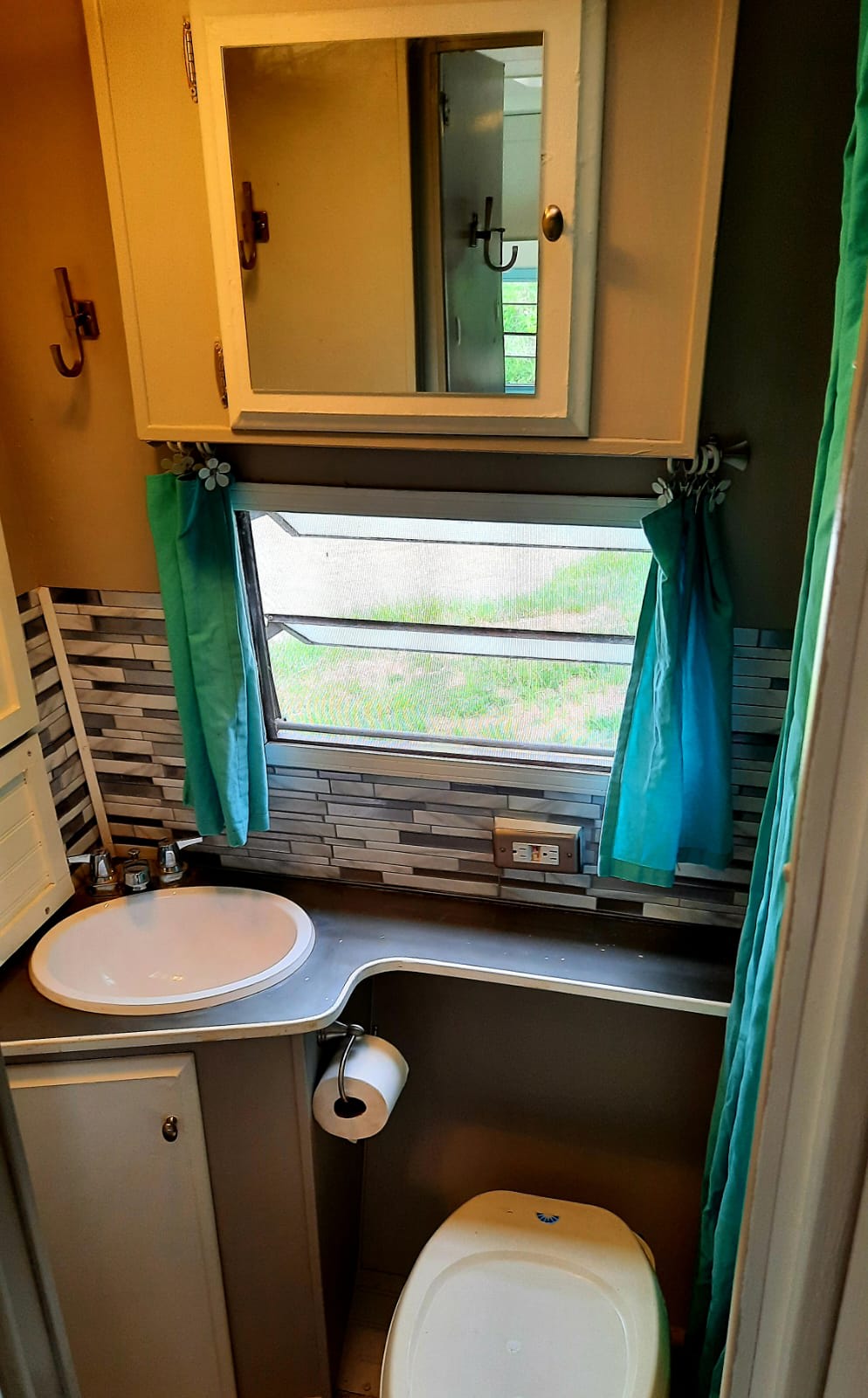 Bathroom with toilet, shower, sink and small closet