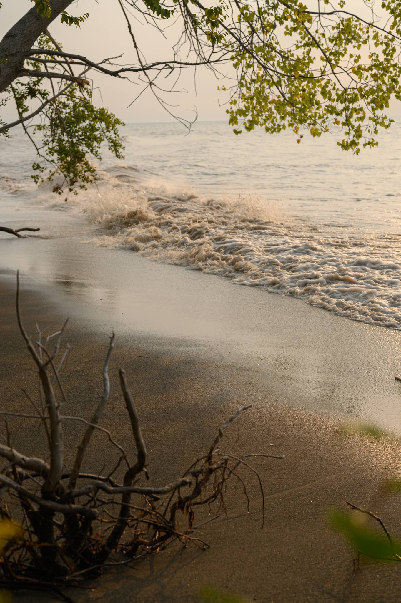 Private Geodome: Lake Erie Views