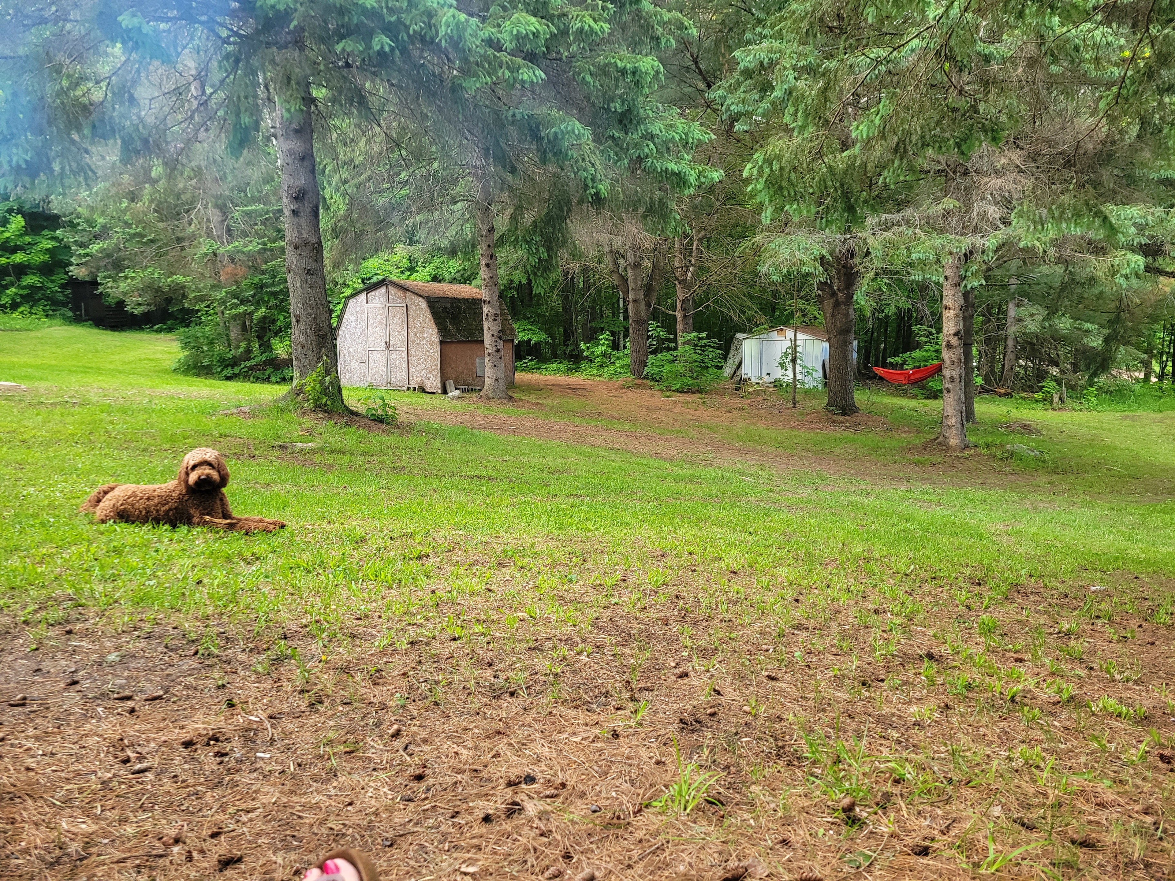 Beneath the Stars - Haliburton County Escape