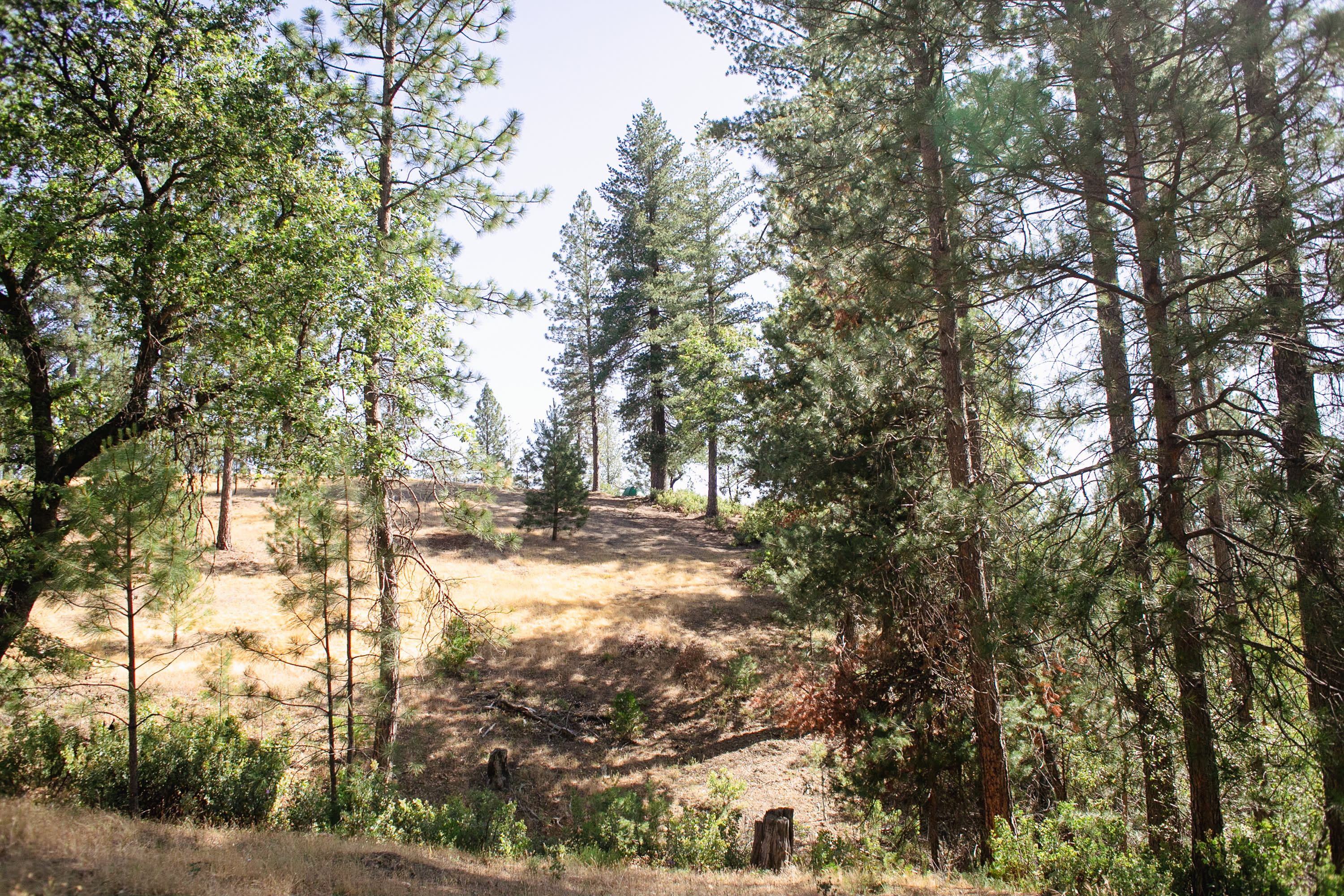 There's a tent up there if you look closely. View from the path to the showers