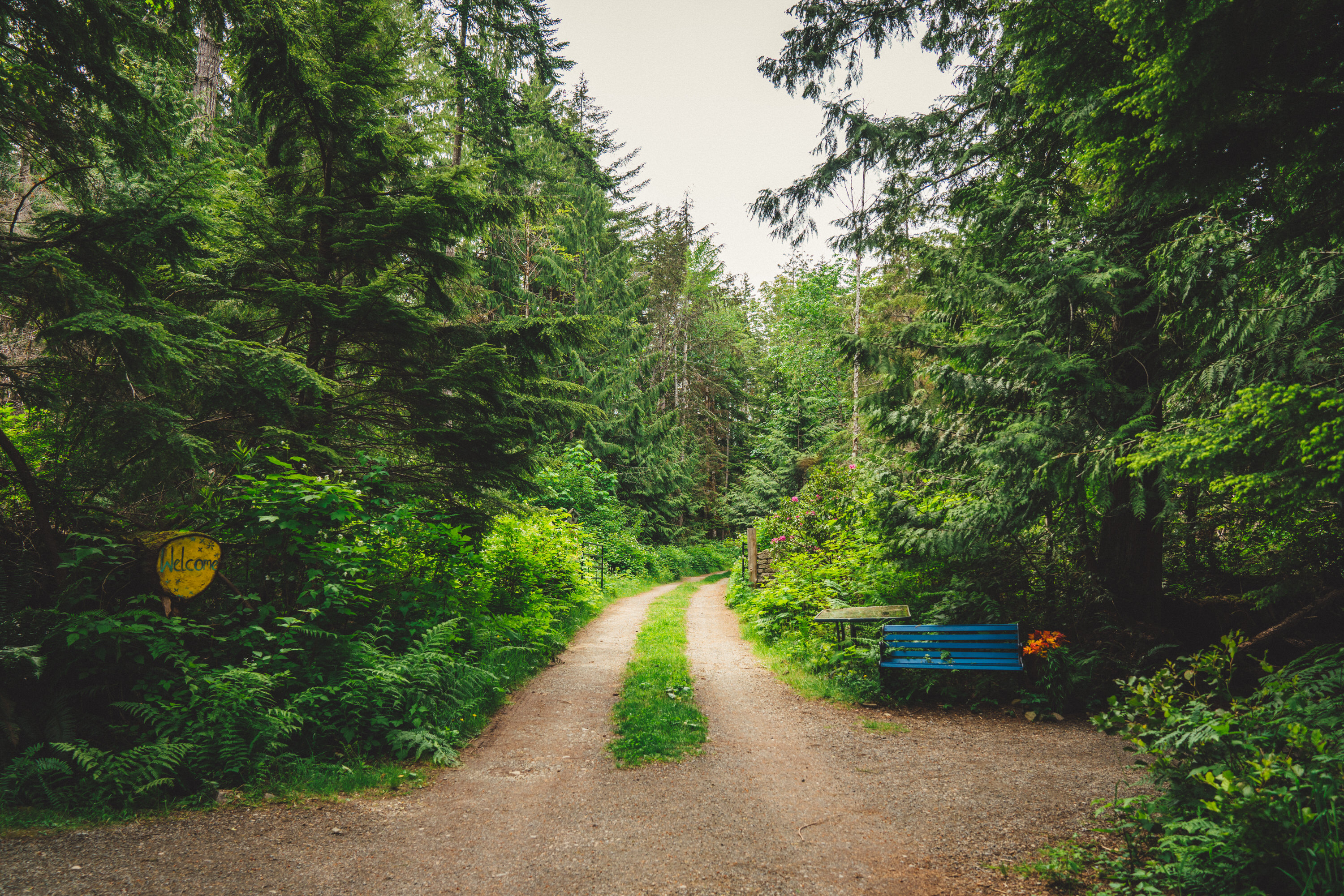 Along the driveway as you get close. 