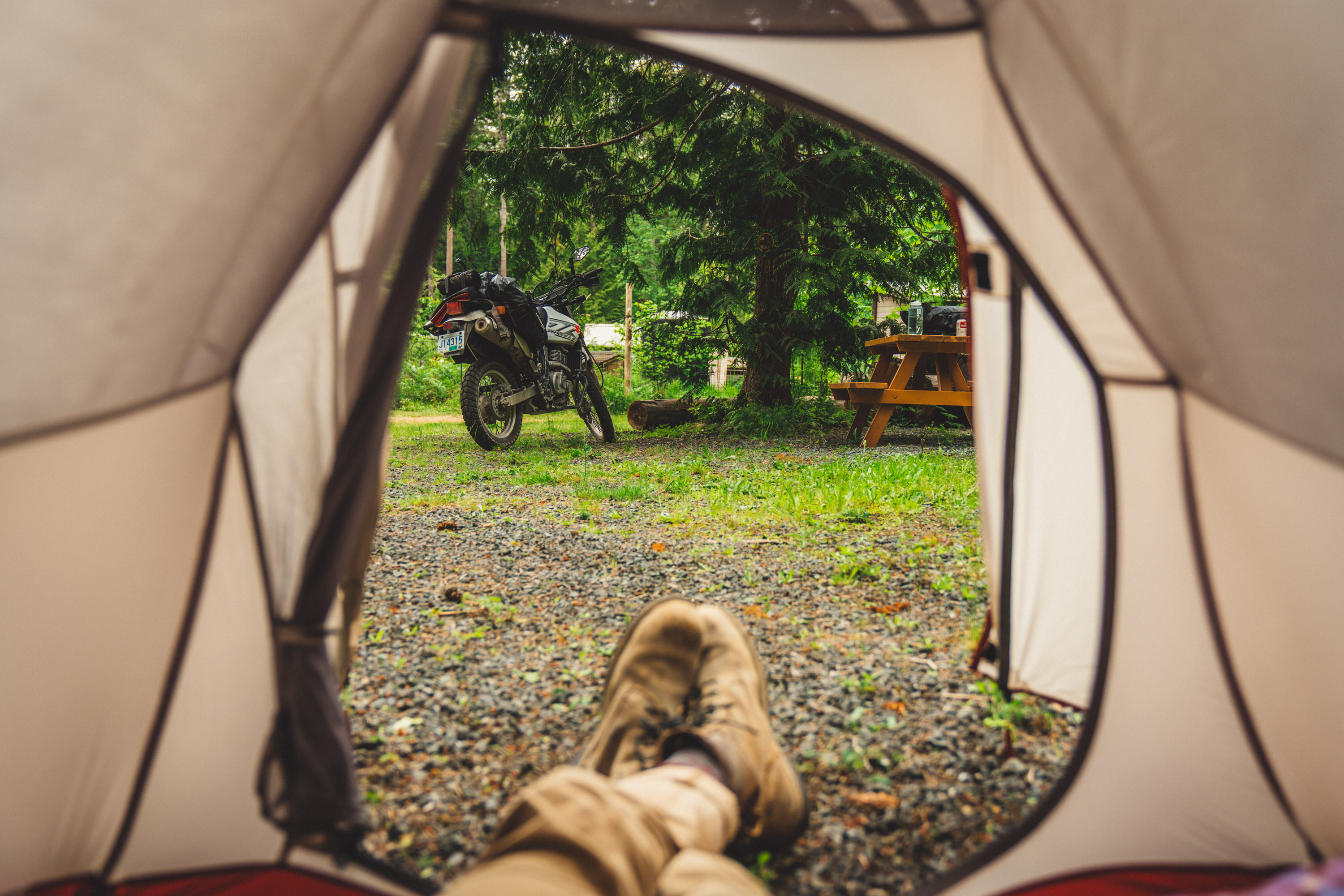 My tent view in the forest site. 