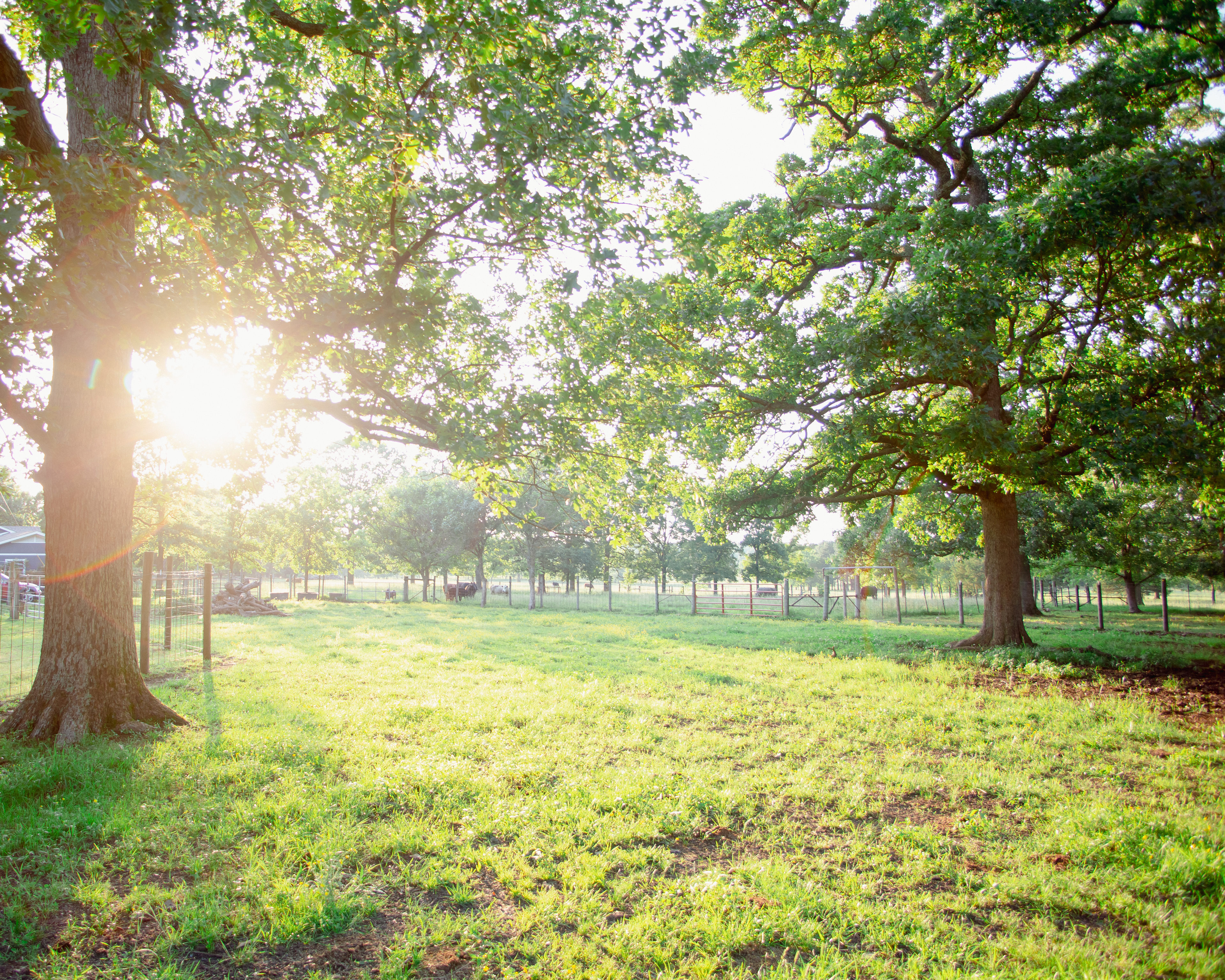 Enchanted Garden RV & Campsites