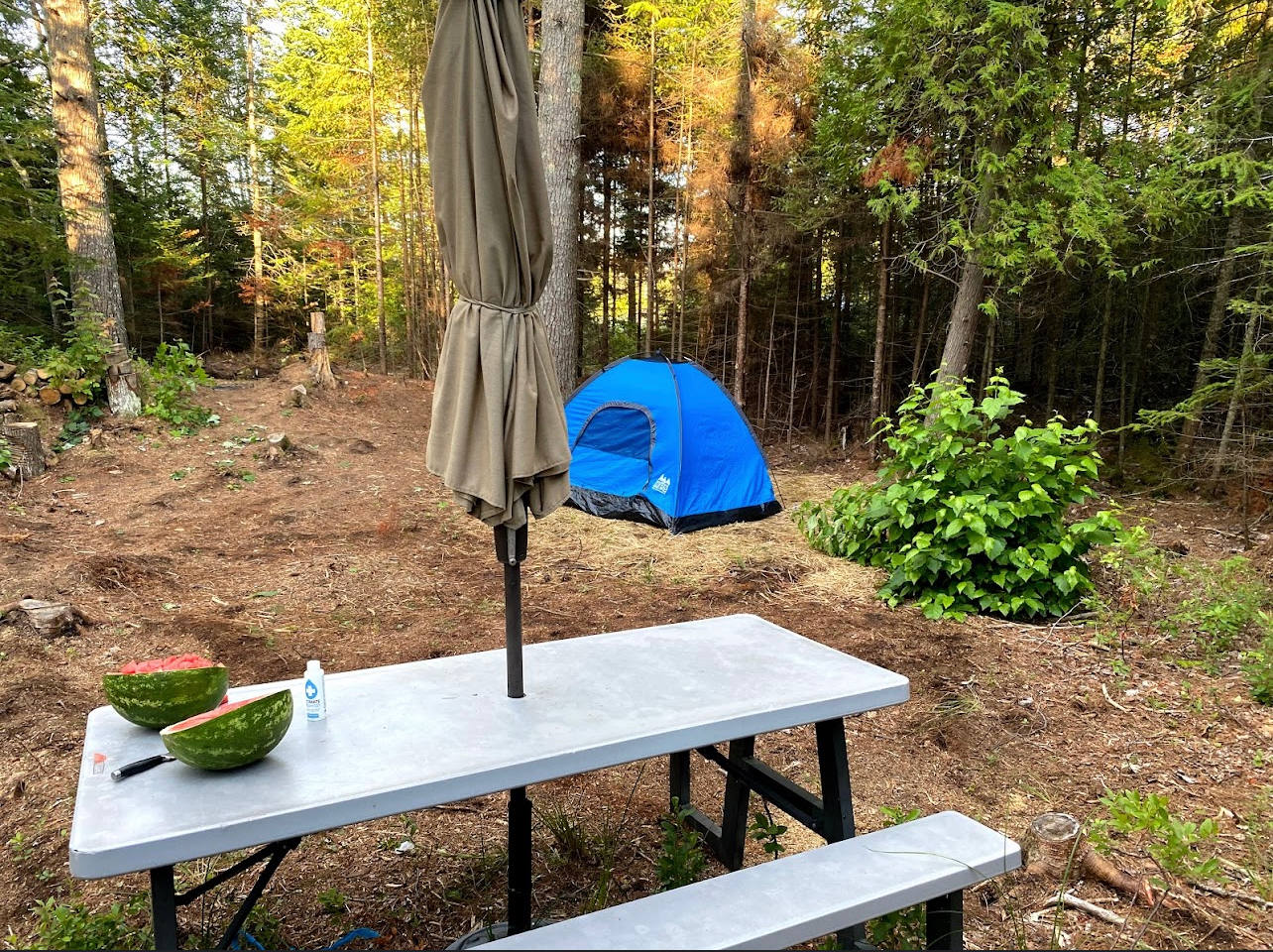 Just Show Up Camping