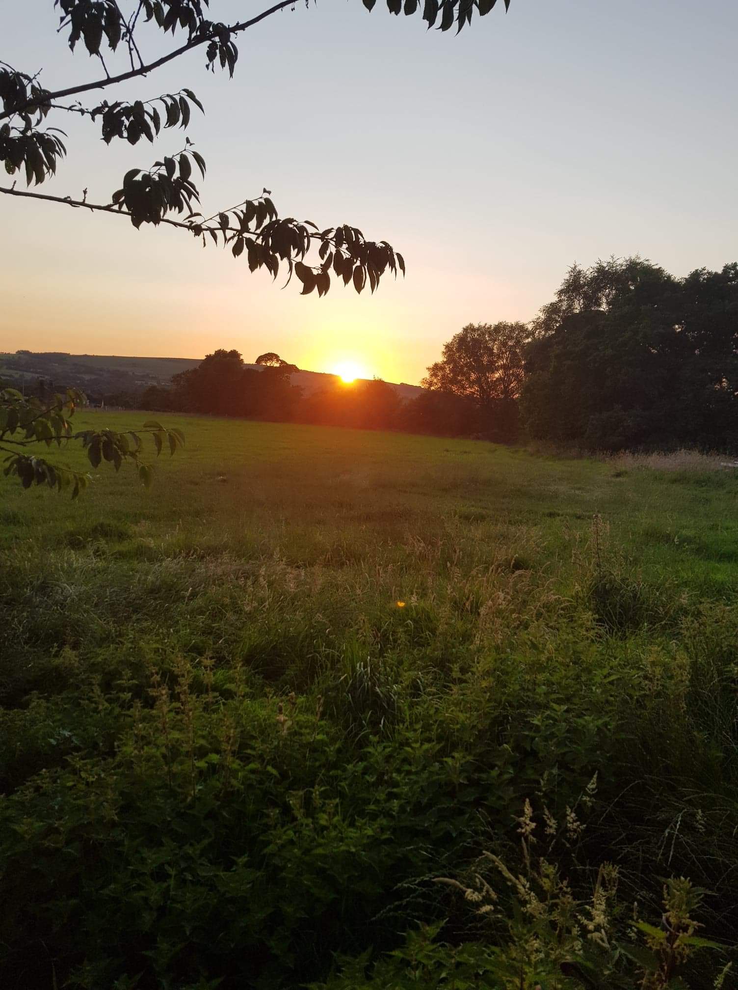 Camping at The Hollies