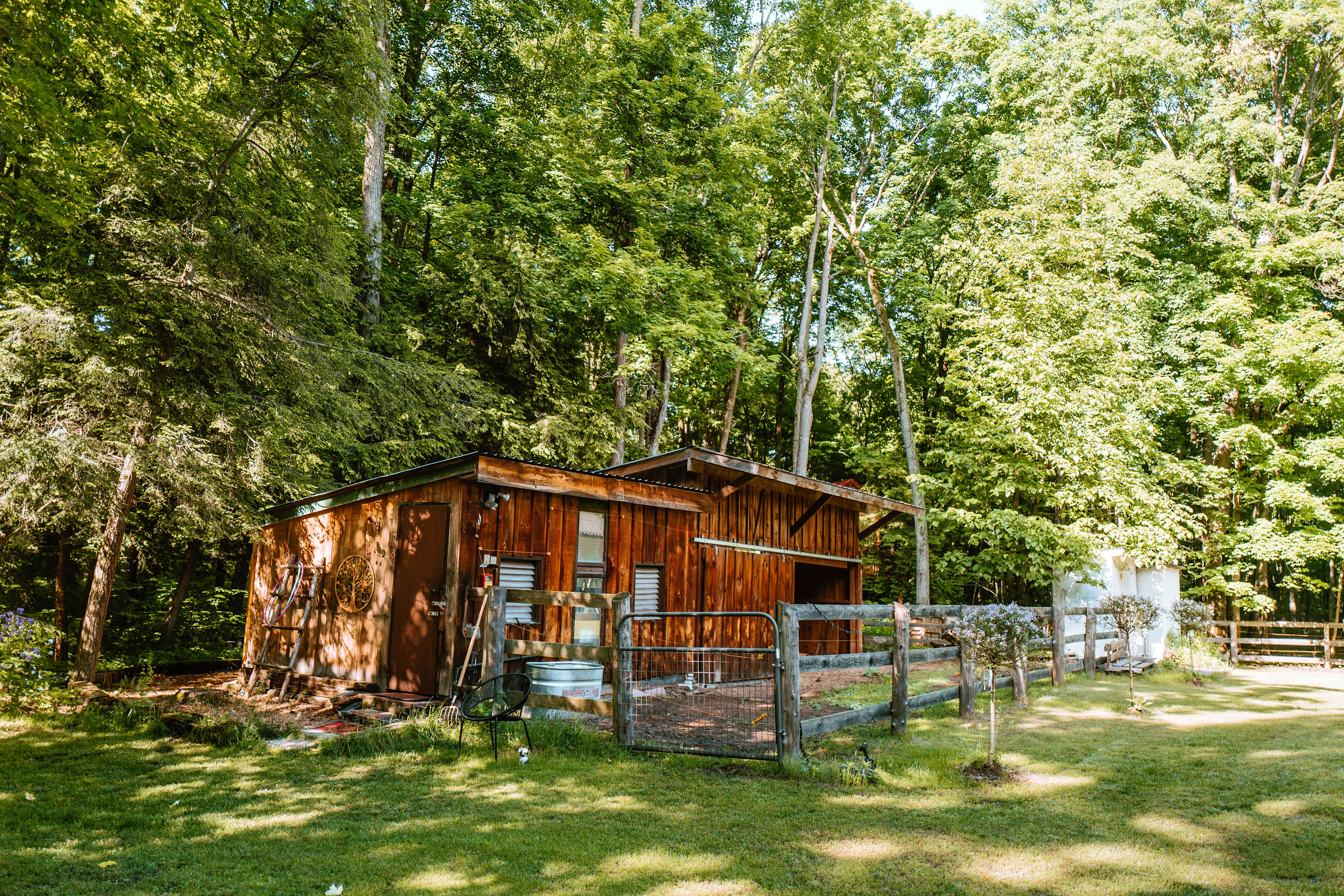 A beautiful mini barn that you may see Roc and Dora while they are frolicking about. Jennifer even allowed us to pet them and gave us tips on their favourite scratch spots!!