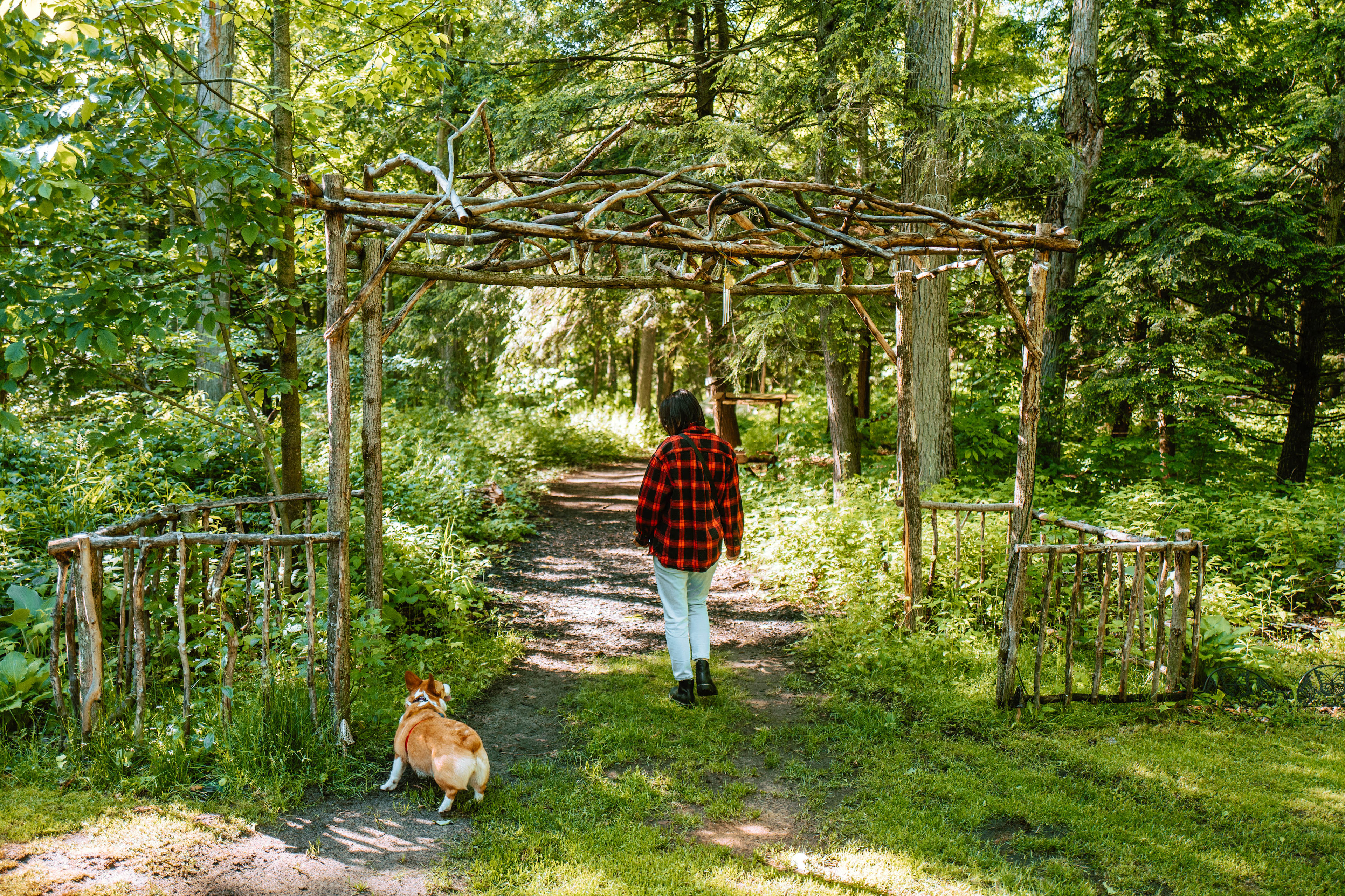The entry way to the forest trails and glamping tents