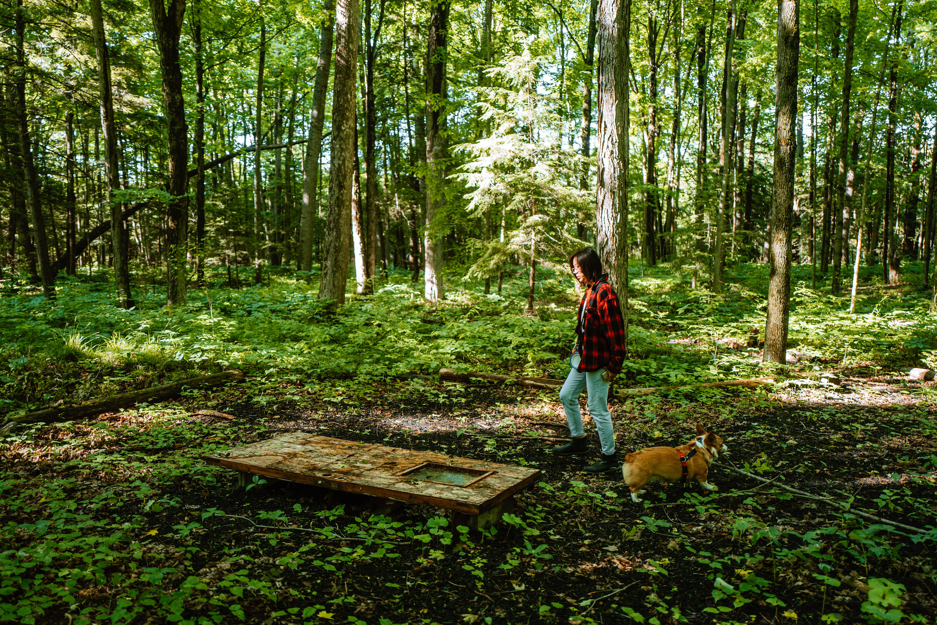 Some interesting finds during our nature walk within the property